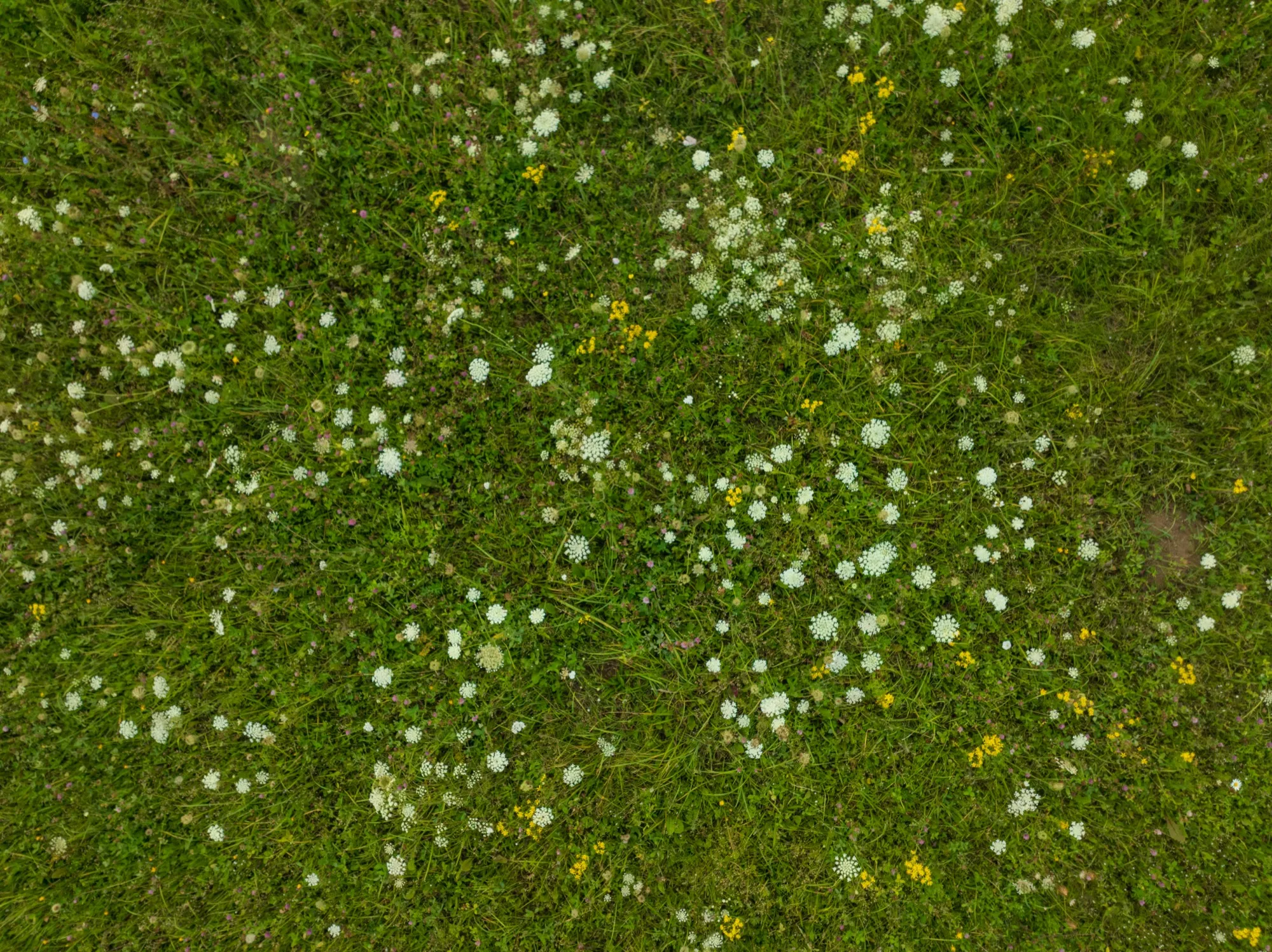 Aerial photograph — Lithuania — Earthly