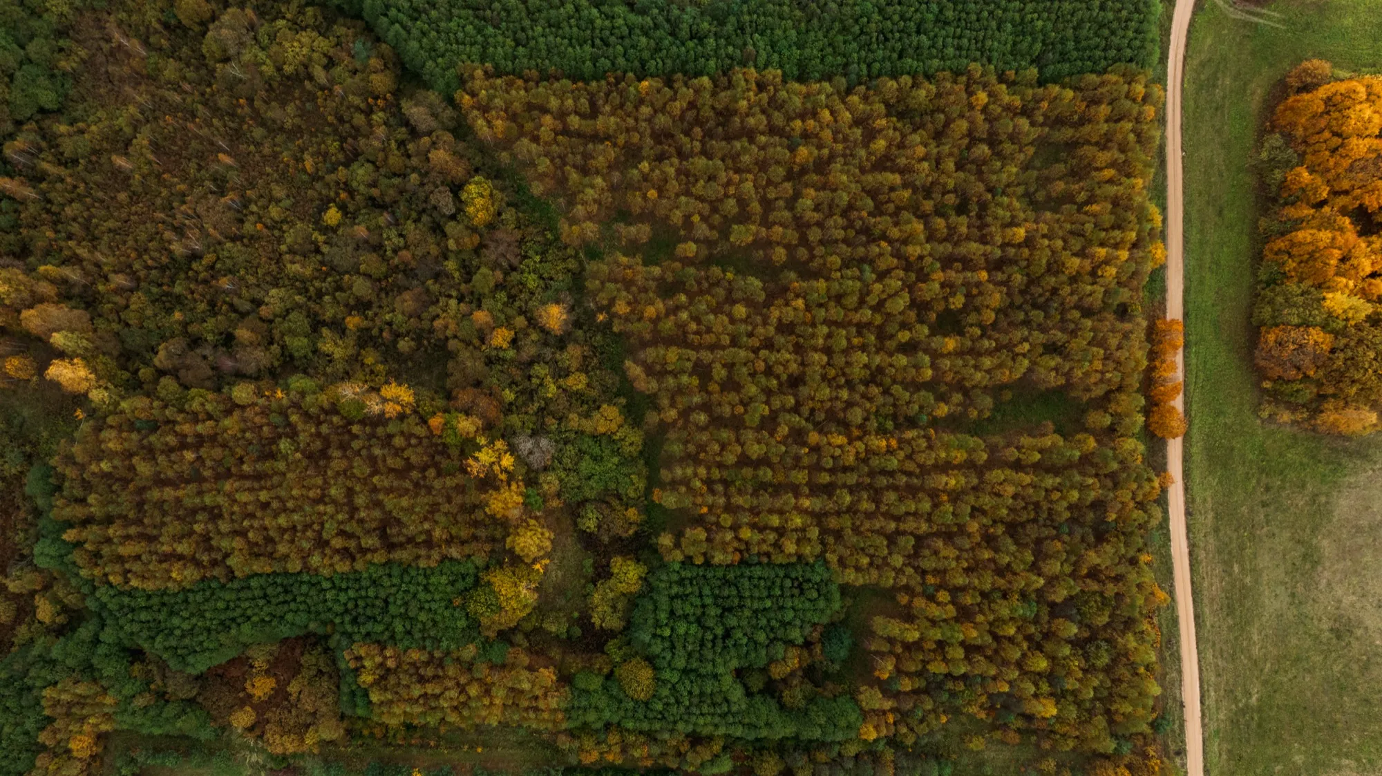 Aerial photograph — Lithuania — Earthly