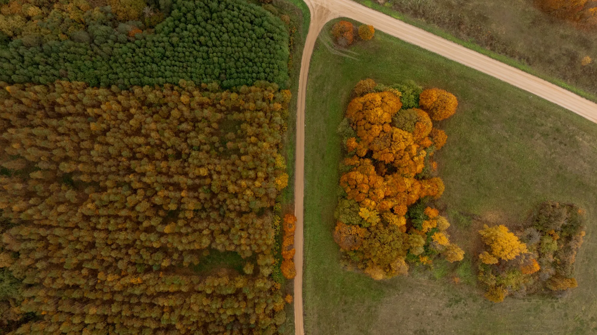 Aerial photograph — Lithuania — Earthly