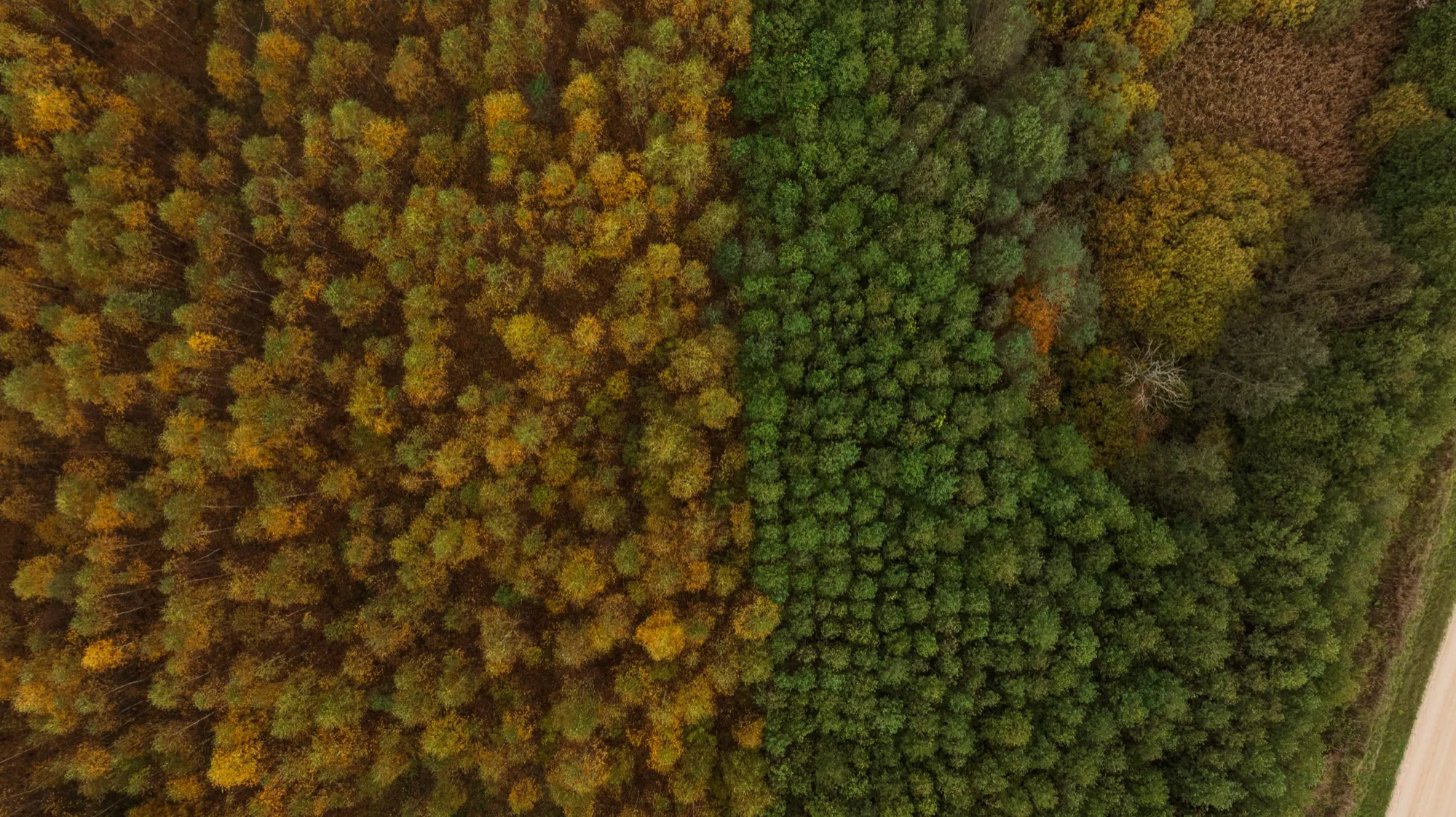 Aerial photograph — Lithuania — Earthly