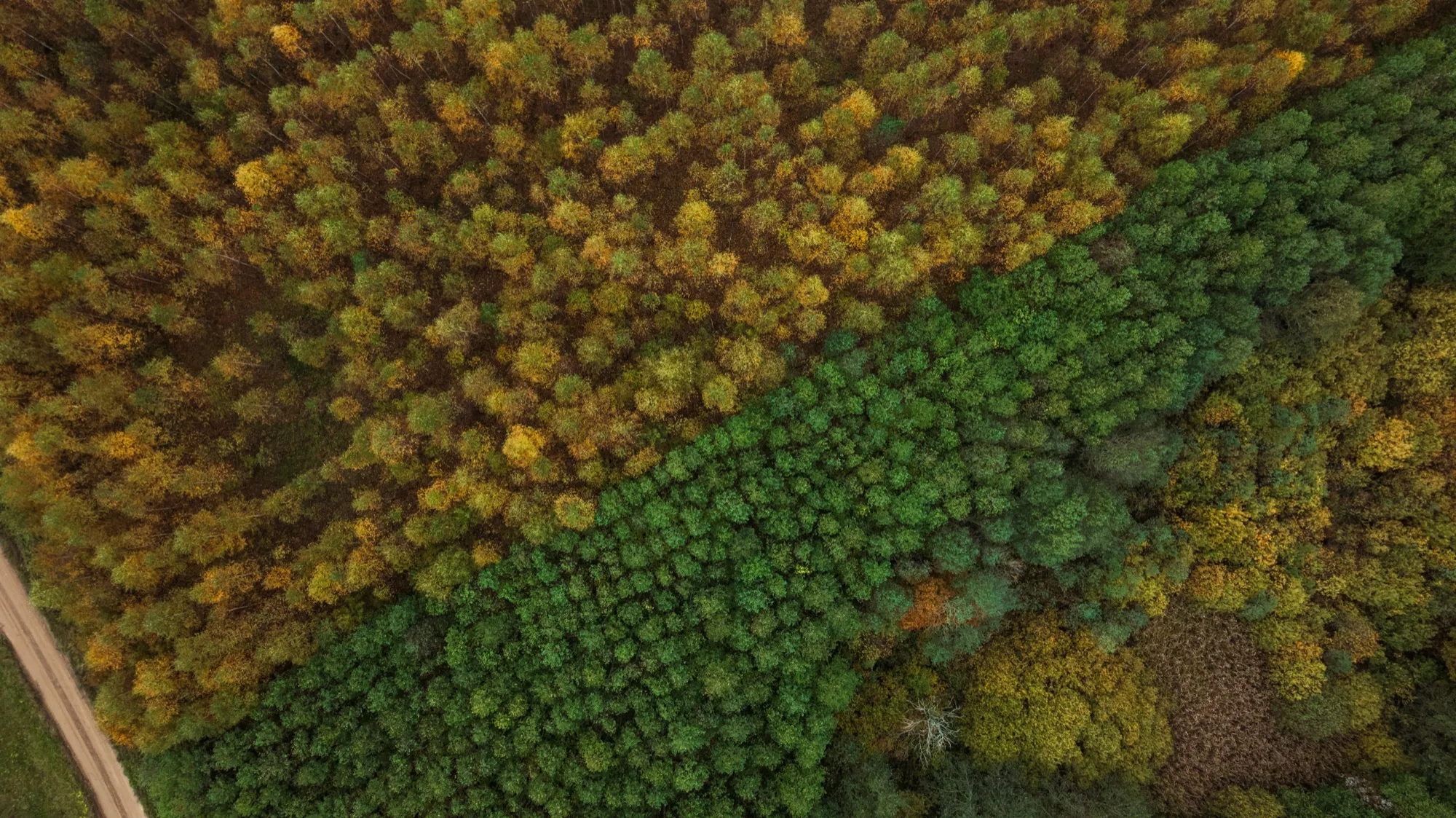 Aerial photograph — Lithuania — Earthly