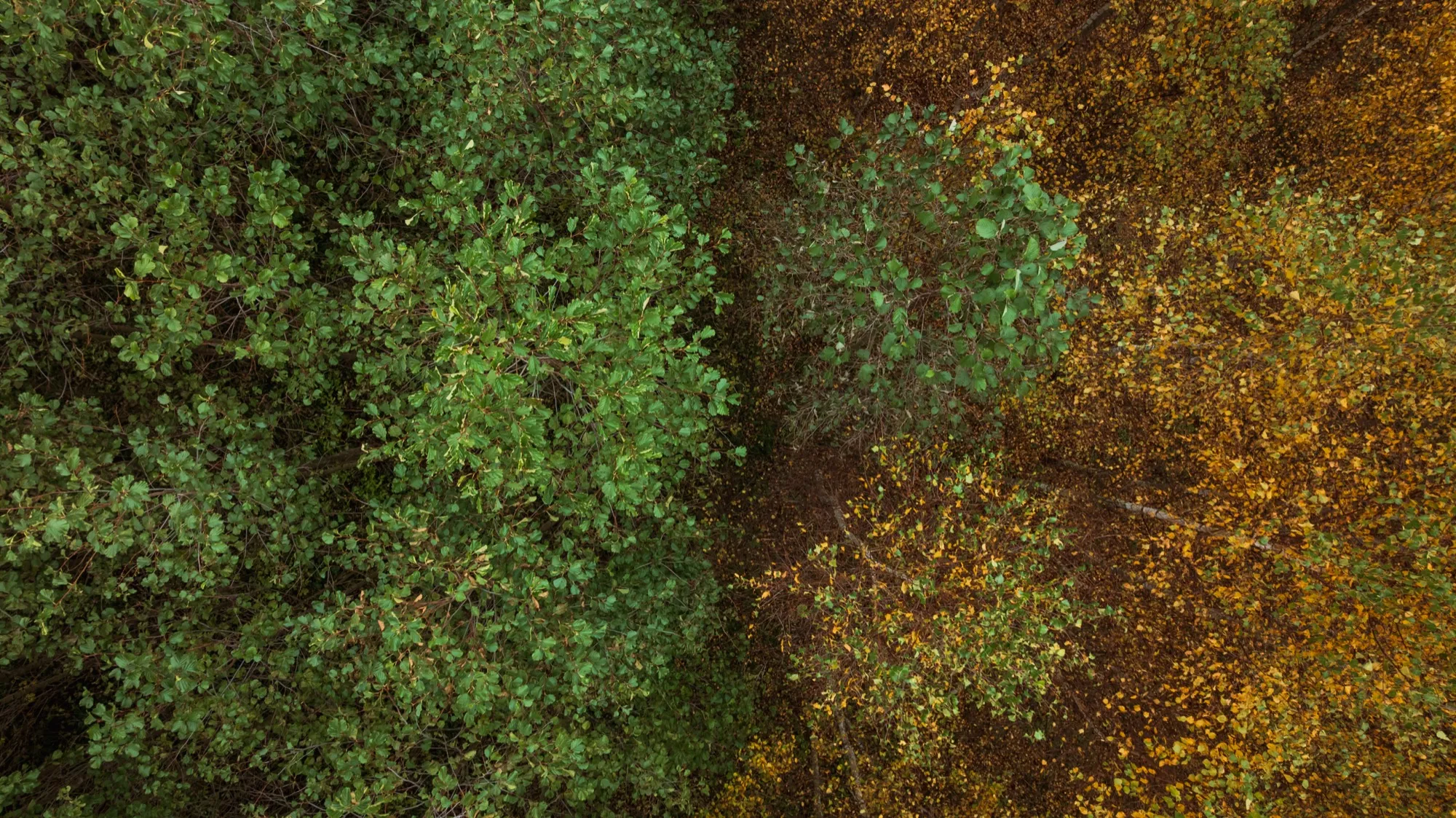 Aerial photograph — Lithuania — Earthly