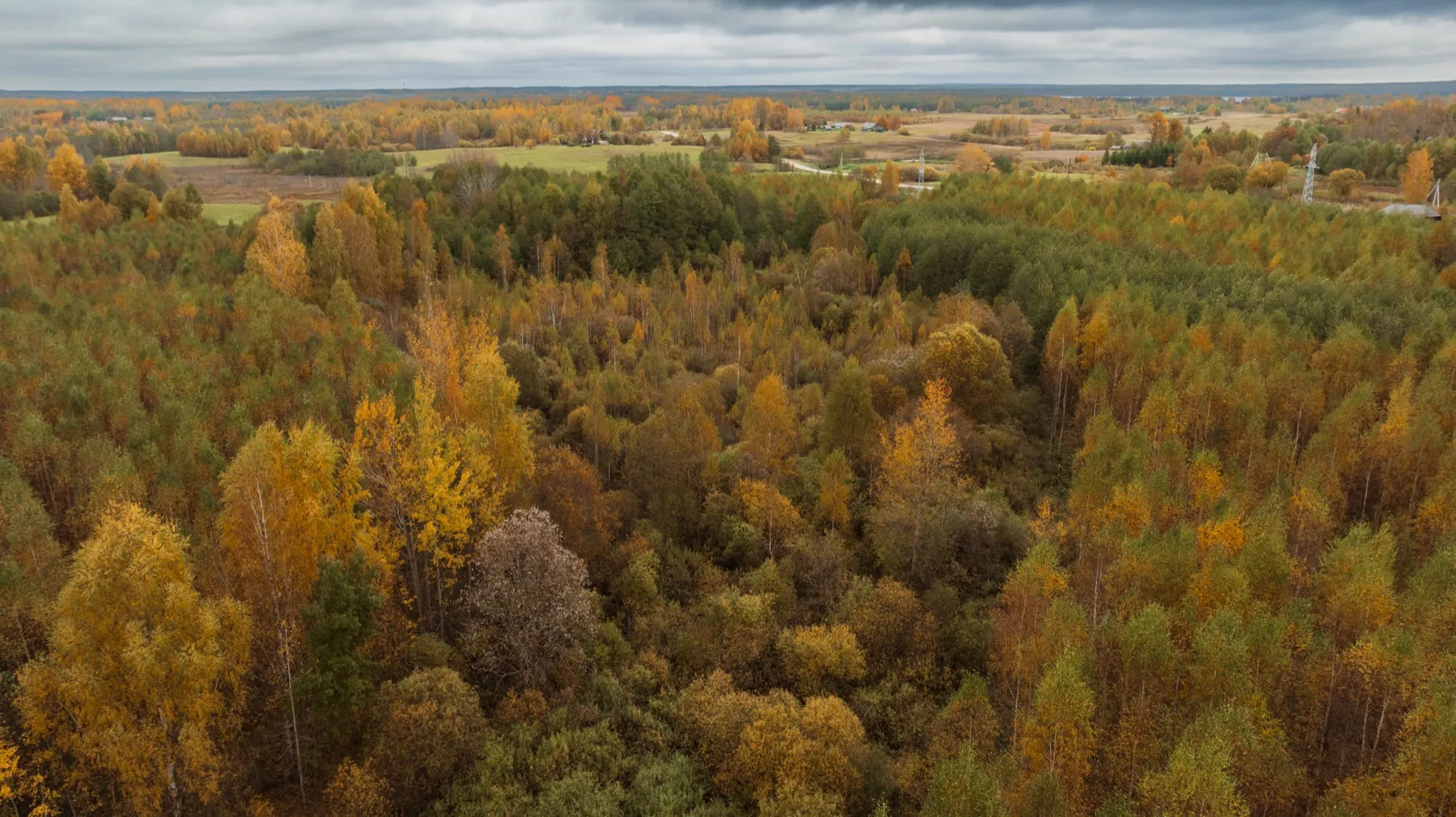 Aerial photograph — Lithuania — Earthly