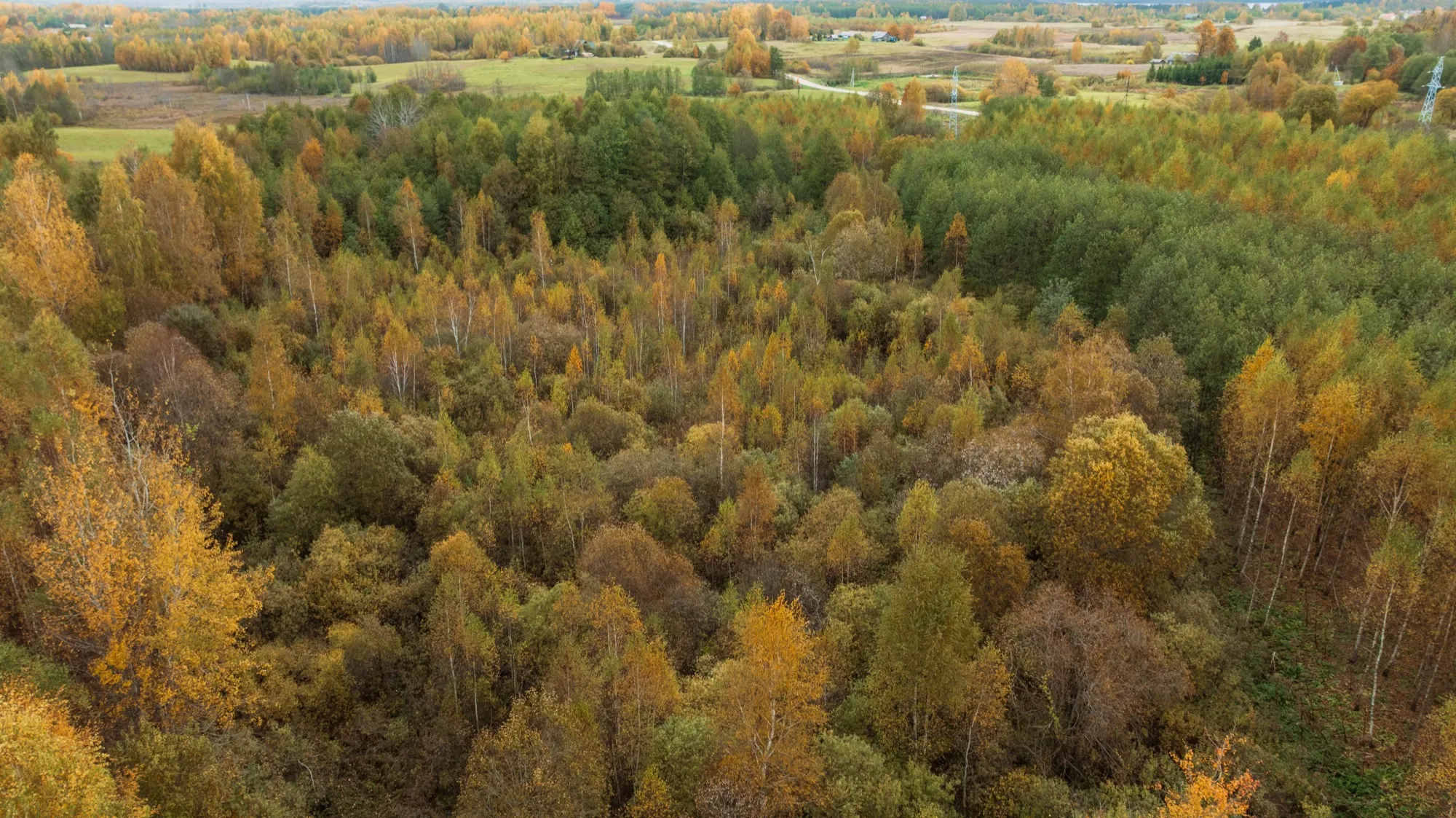 Aerial photograph — Lithuania — Earthly
