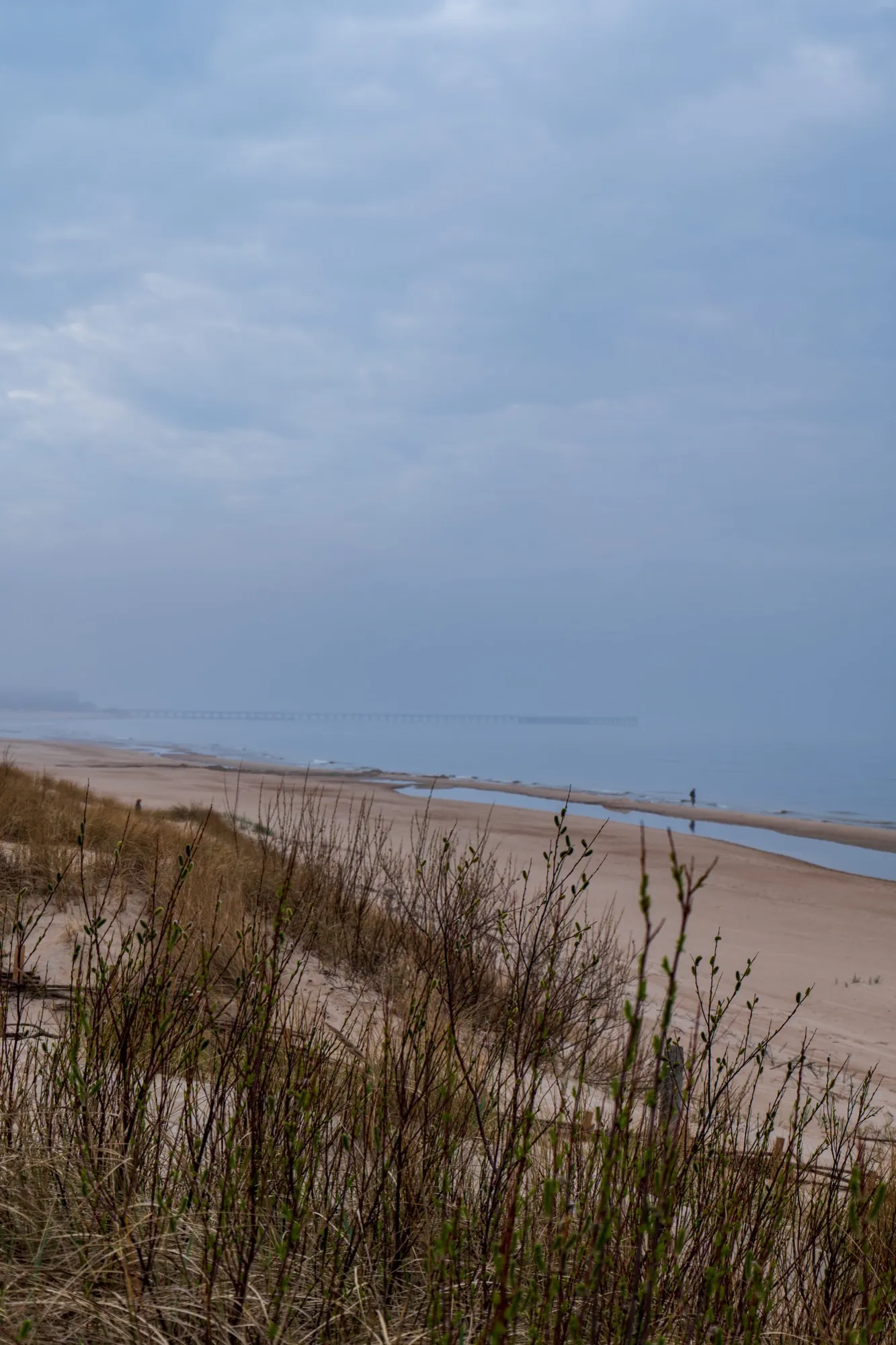 Aerial photograph — Lithuania — Earthly
