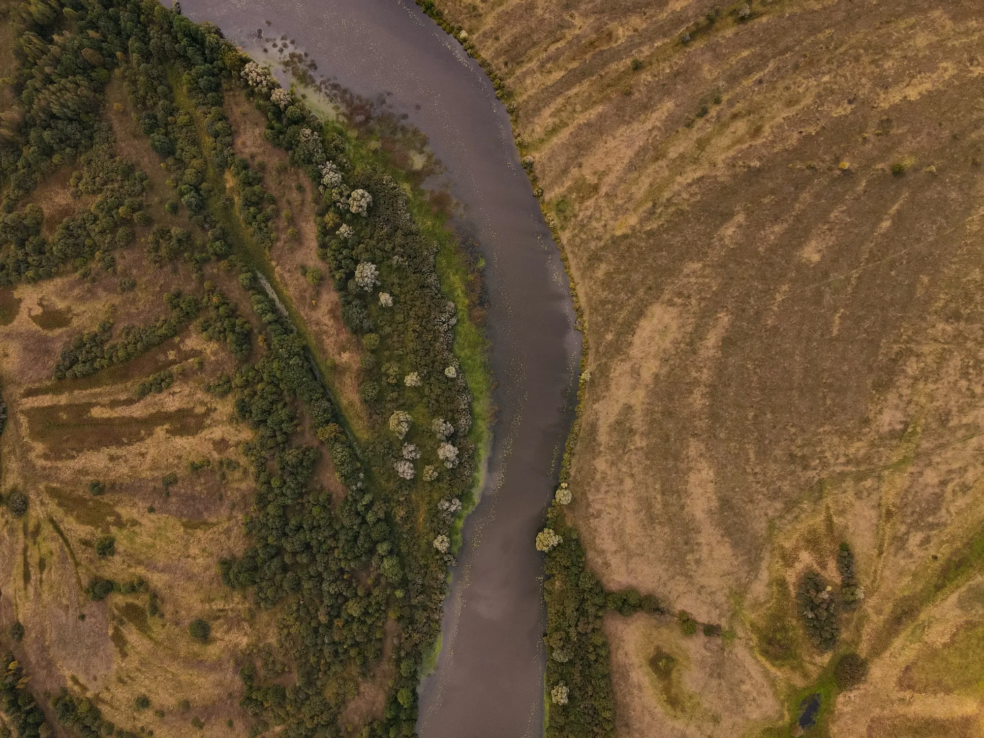 Aerial photograph — Lithuania — Earthly