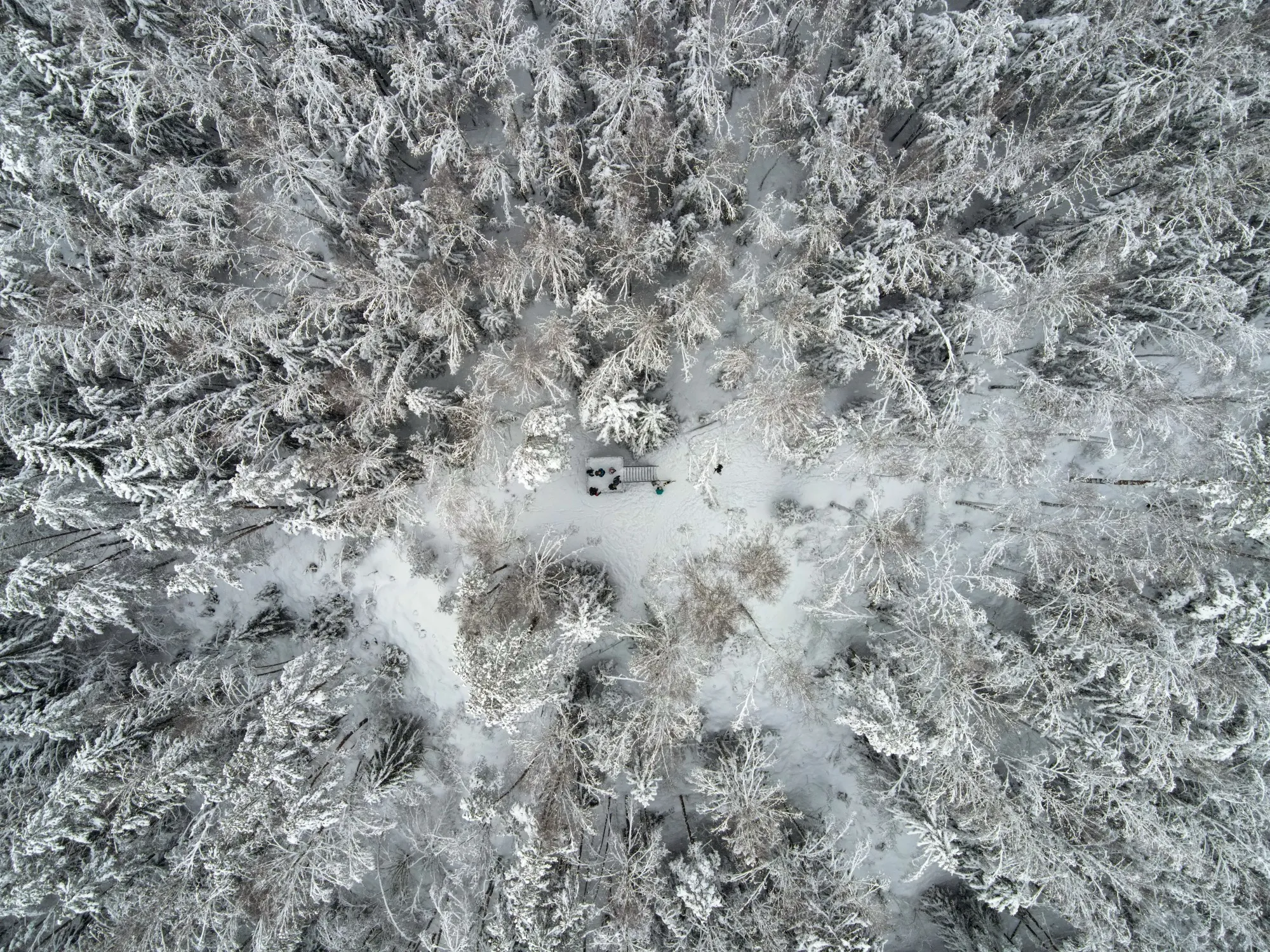 Aerial photograph — Lithuania — Earthly