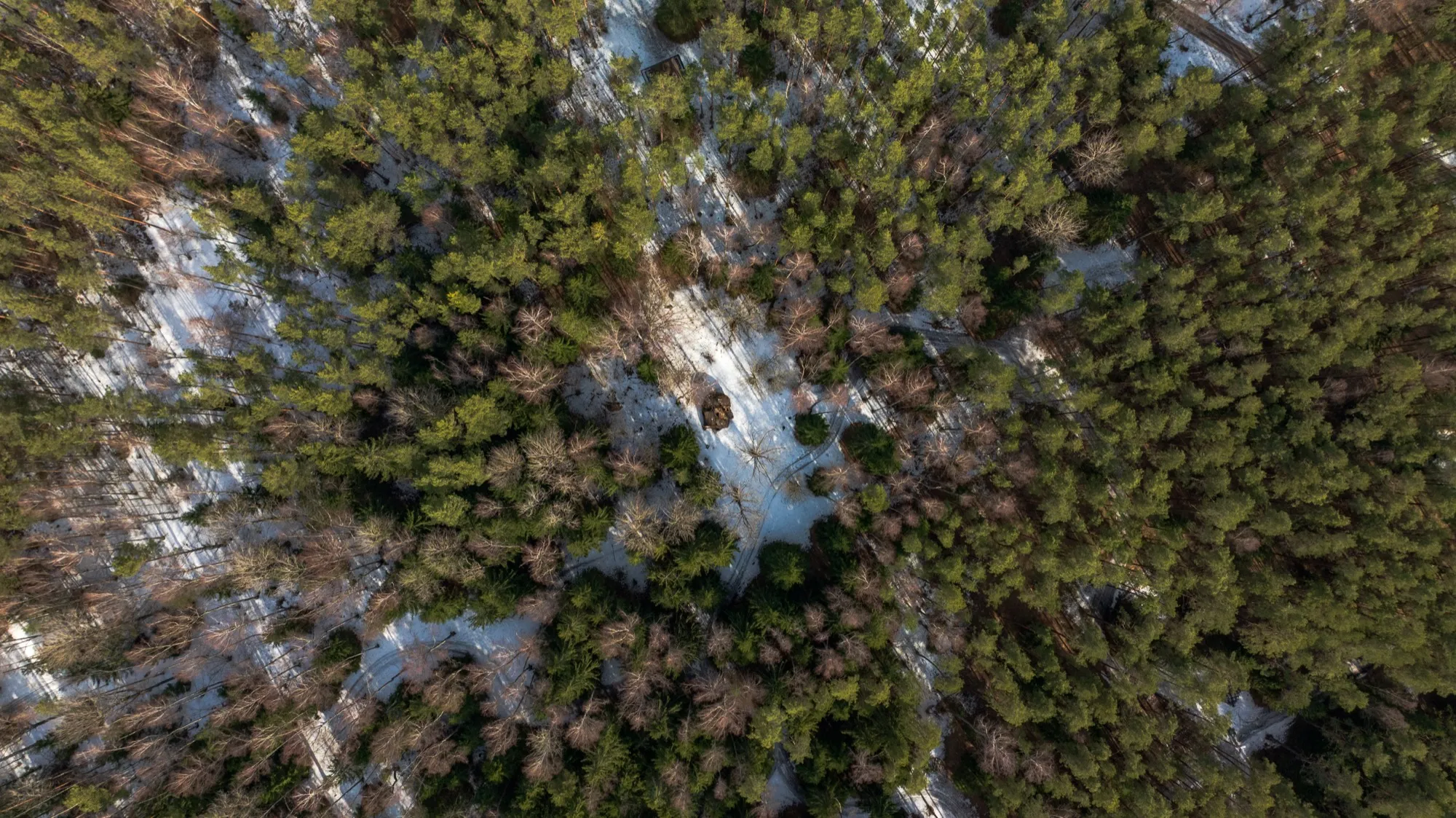 Aerial photograph — Lithuania — Earthly
