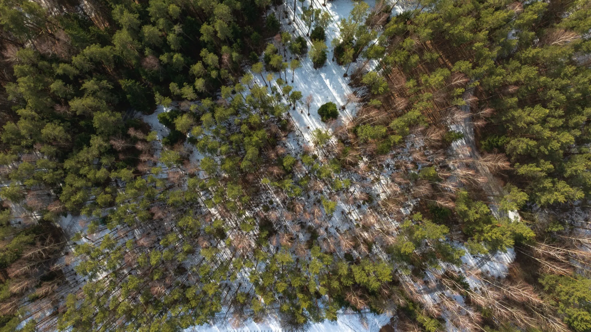 Aerial photograph — Lithuania — Earthly