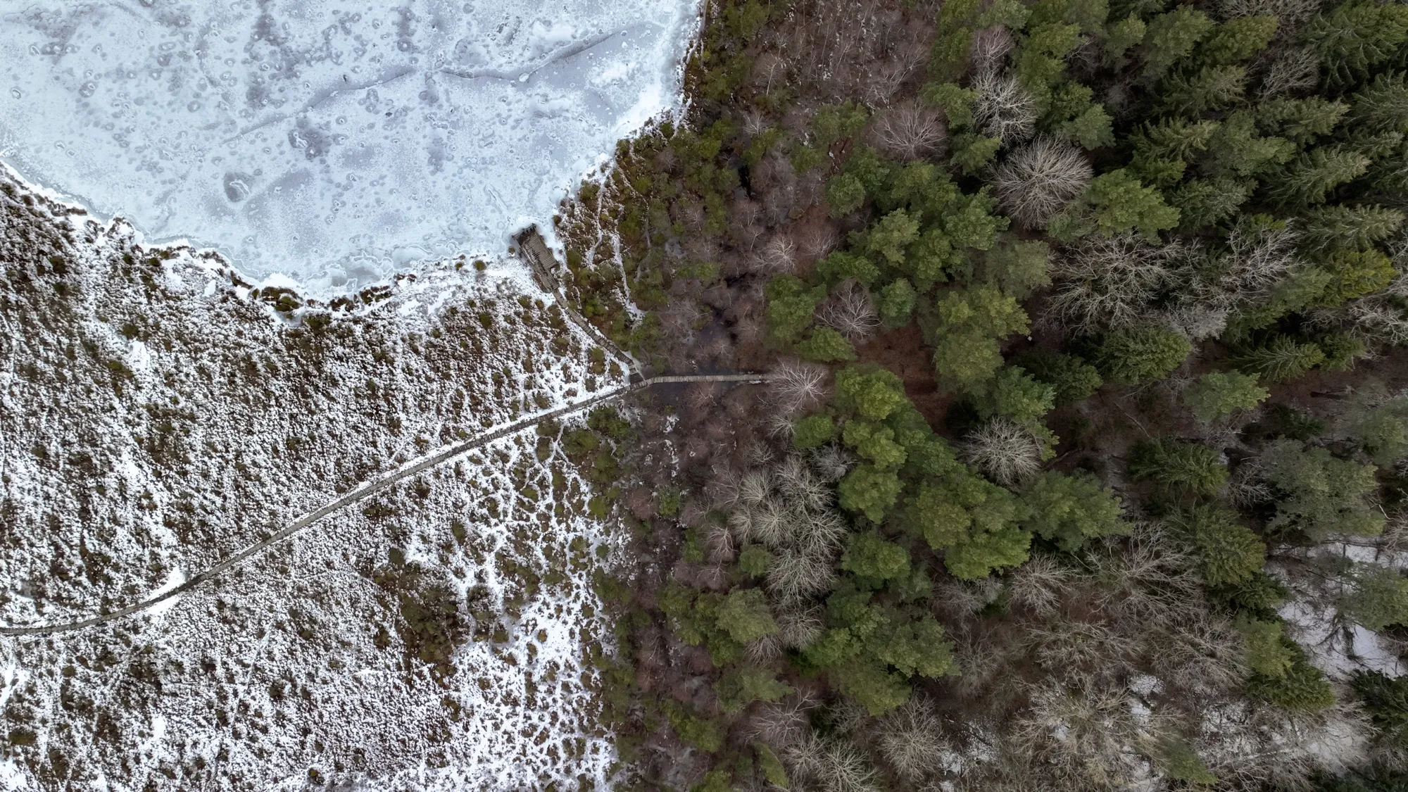 Aerial photograph — Lithuania — Earthly