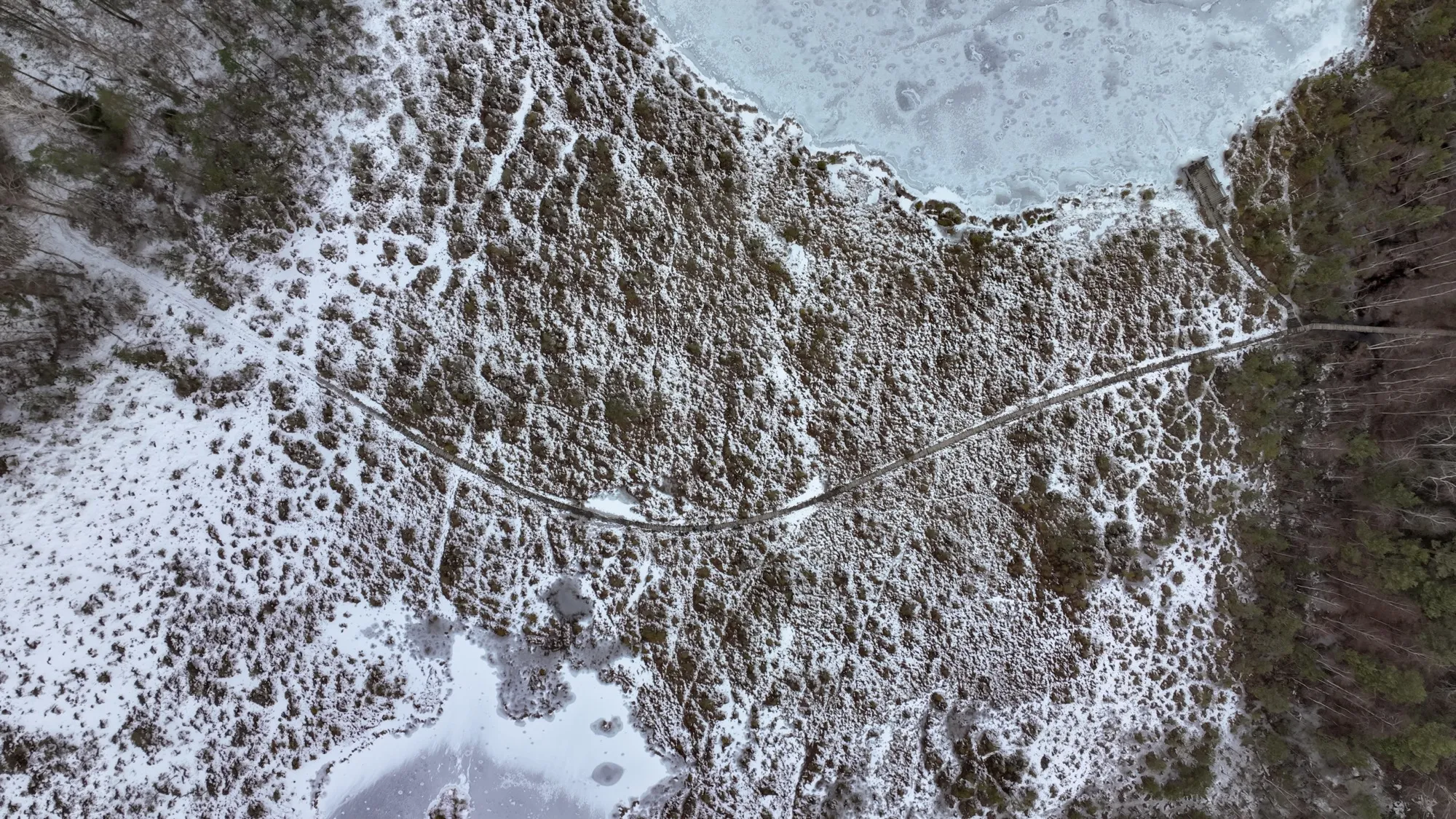 Aerial photograph — Lithuania — Earthly
