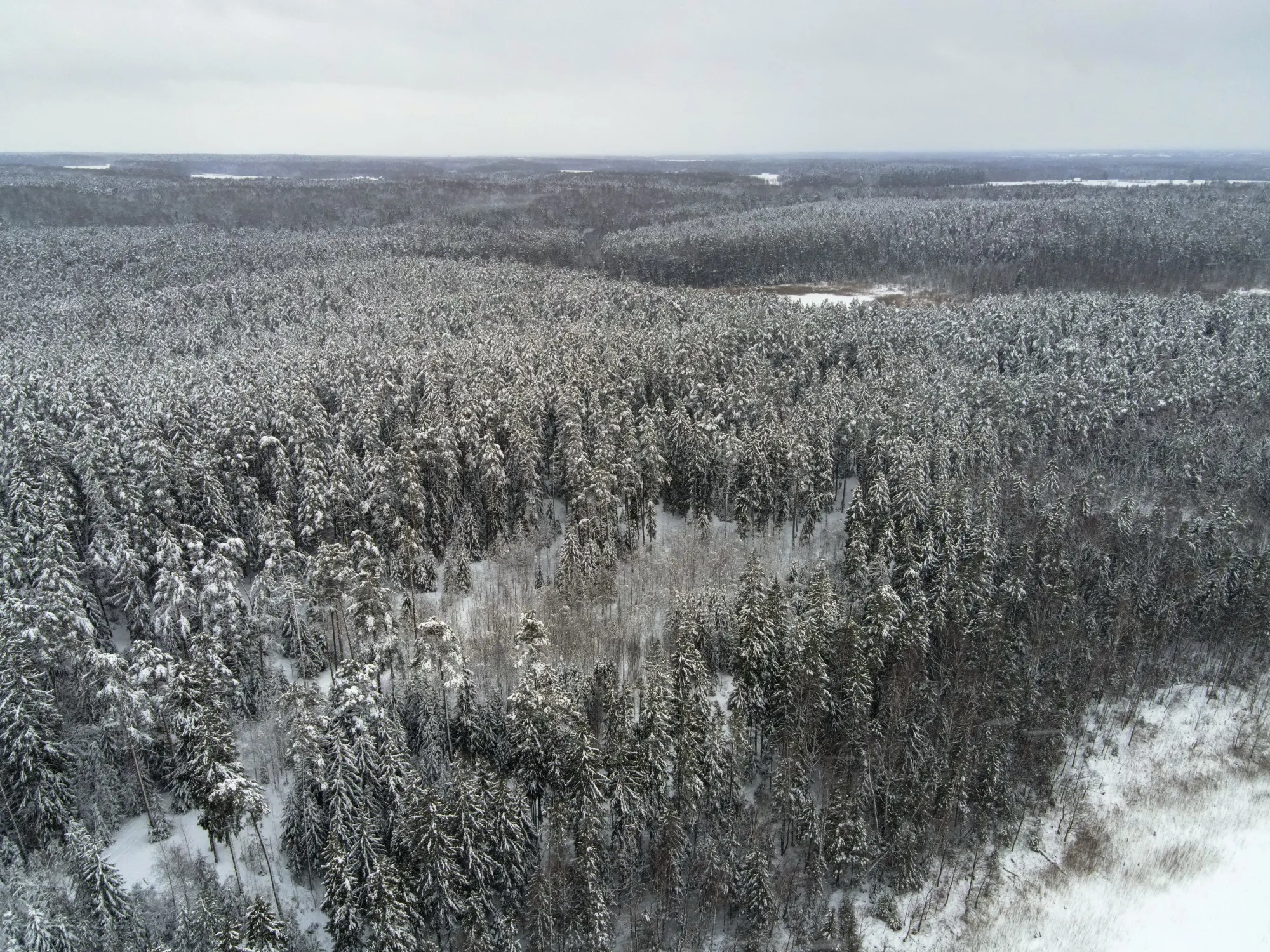Aerial photograph — Lithuania — Earthly