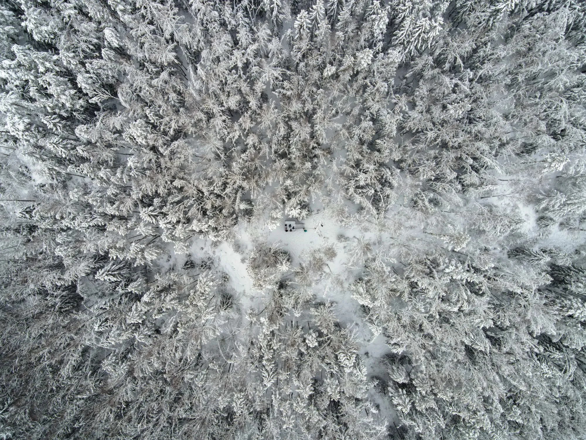 Aerial photograph — Lithuania — Earthly