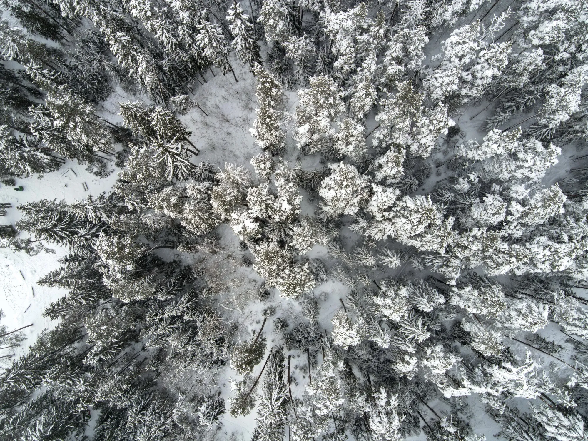 Aerial photograph — Lithuania — Earthly