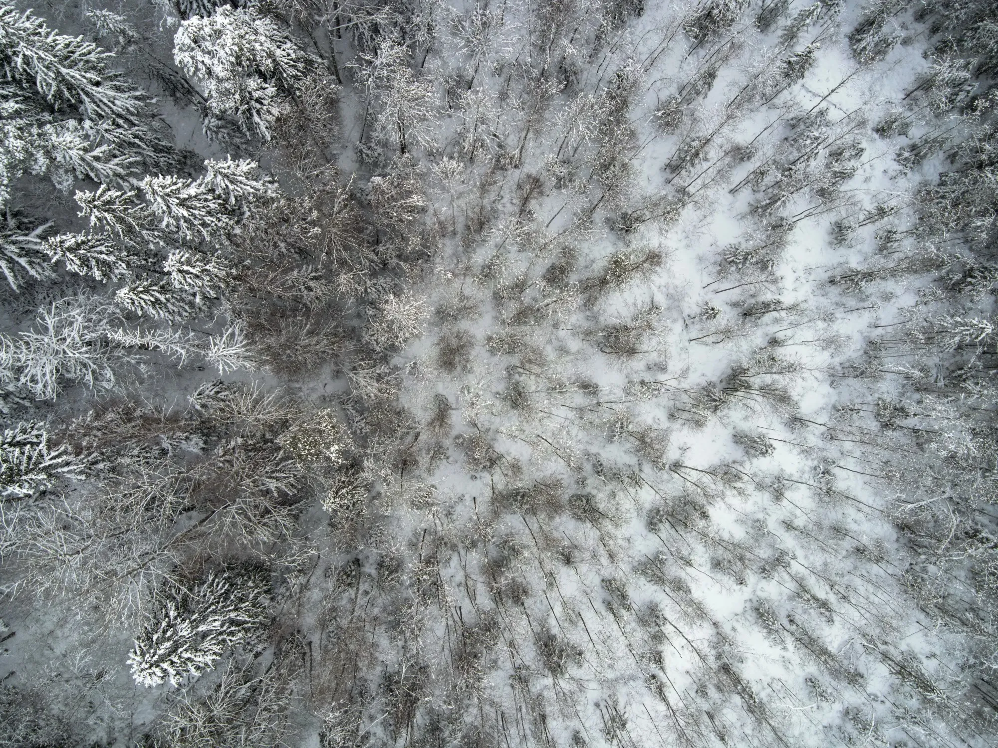 Aerial photograph — Lithuania — Earthly