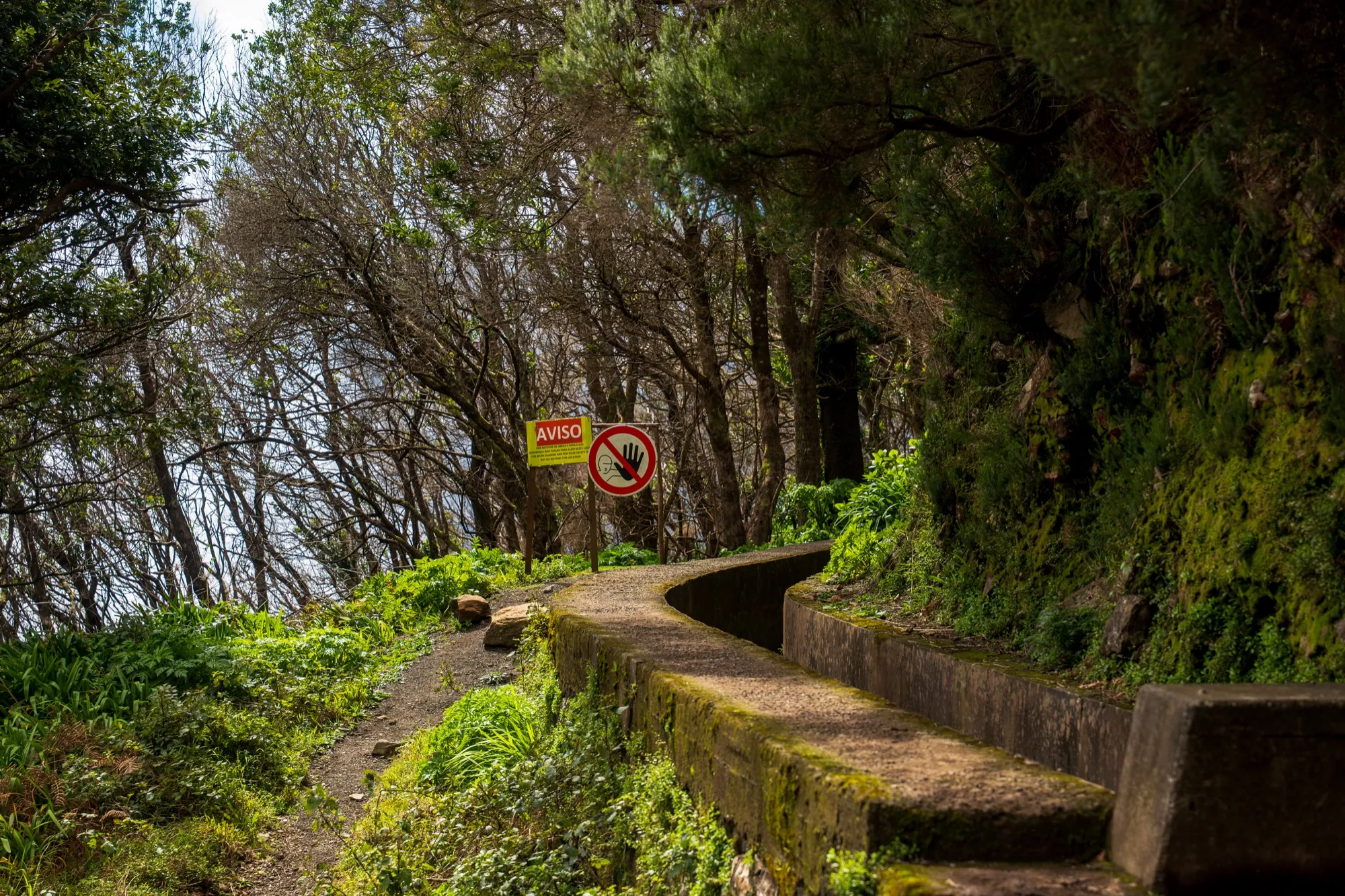Aerial photograph — Madeira — Earthly