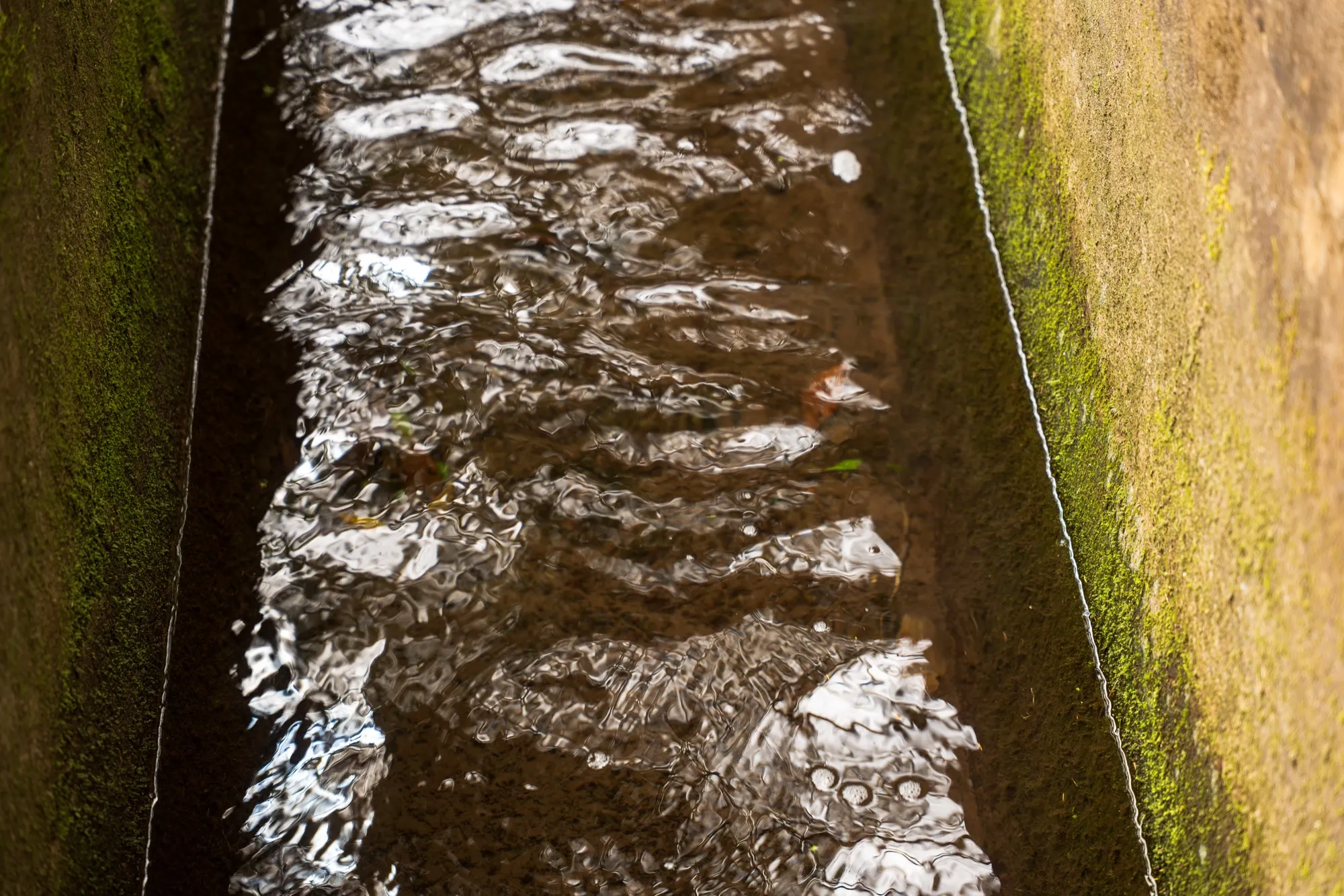 Aerial photograph — Madeira — Earthly