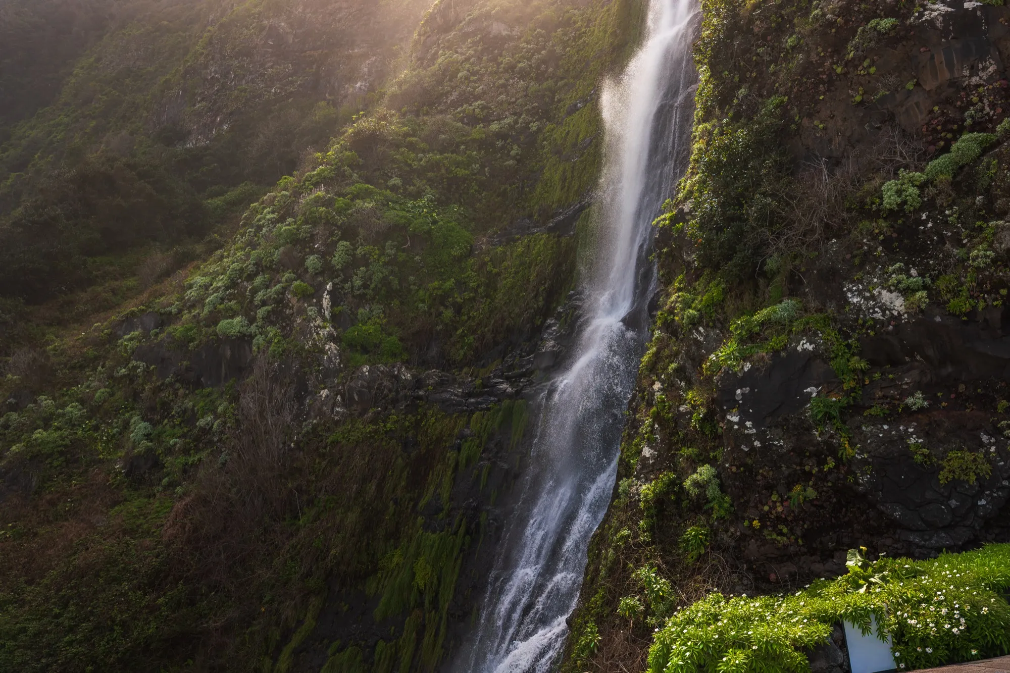 Aerial photograph — Madeira — Earthly