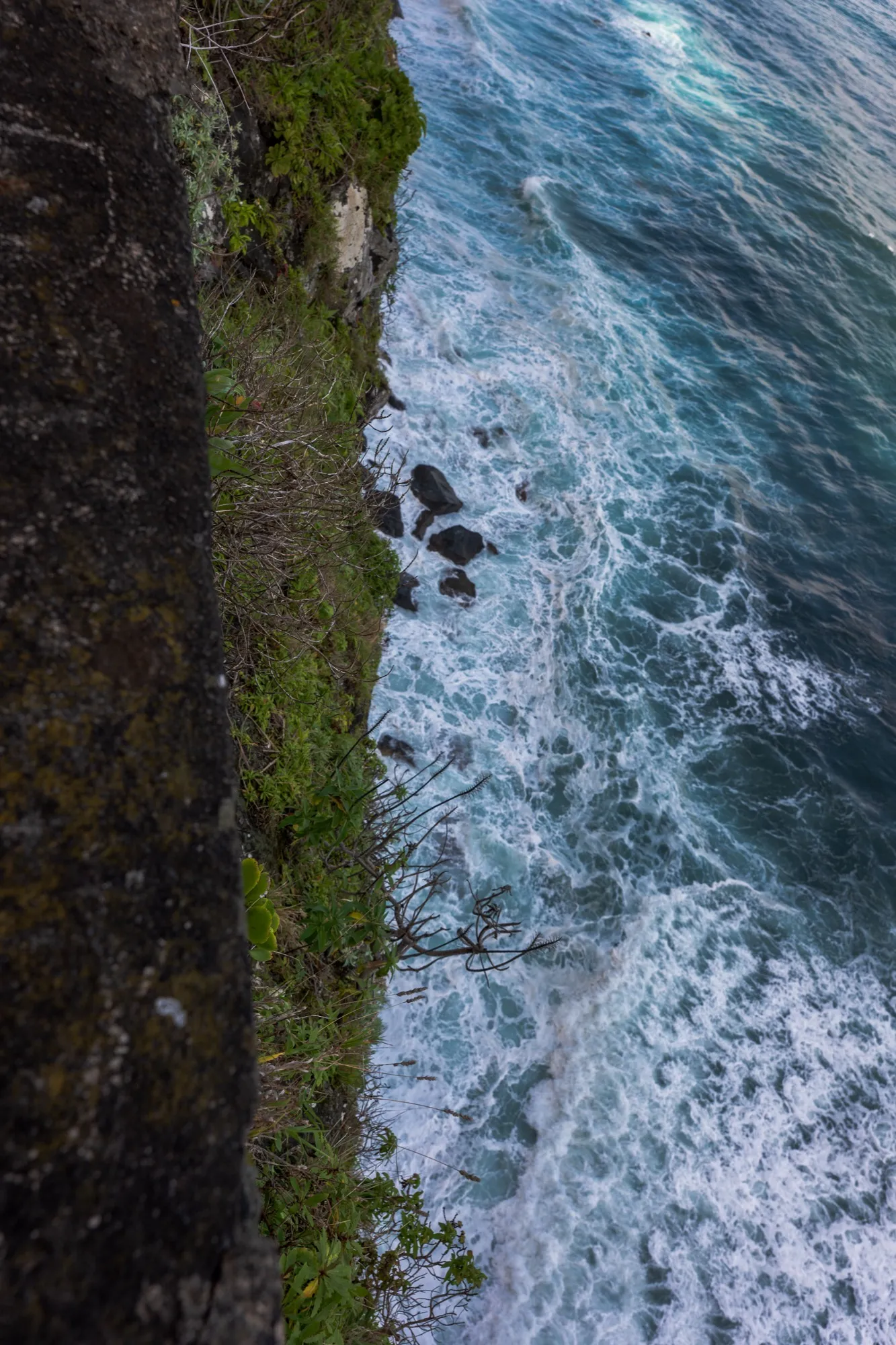 Aerial photograph — Madeira — Earthly