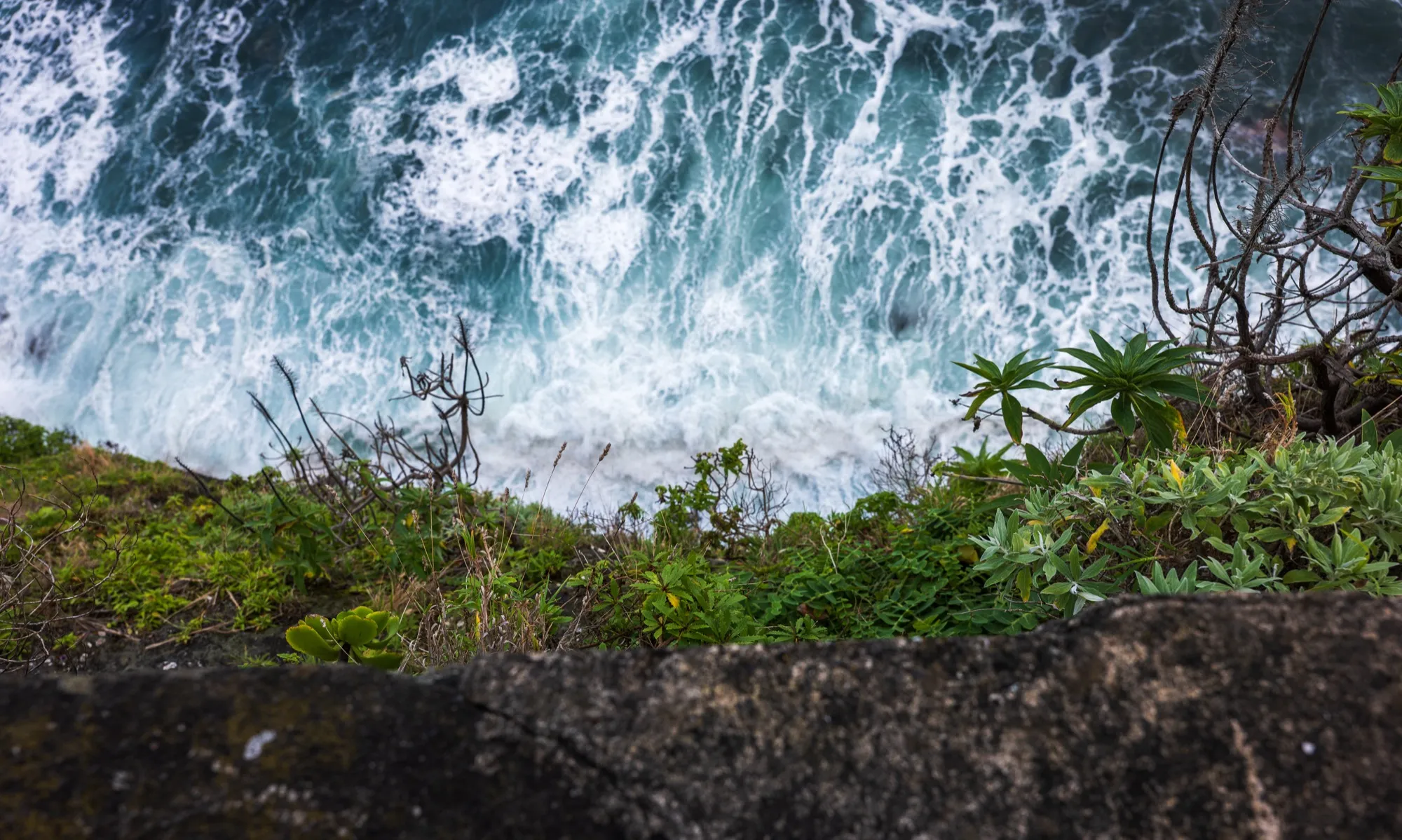 Aerial photograph — Madeira — Earthly