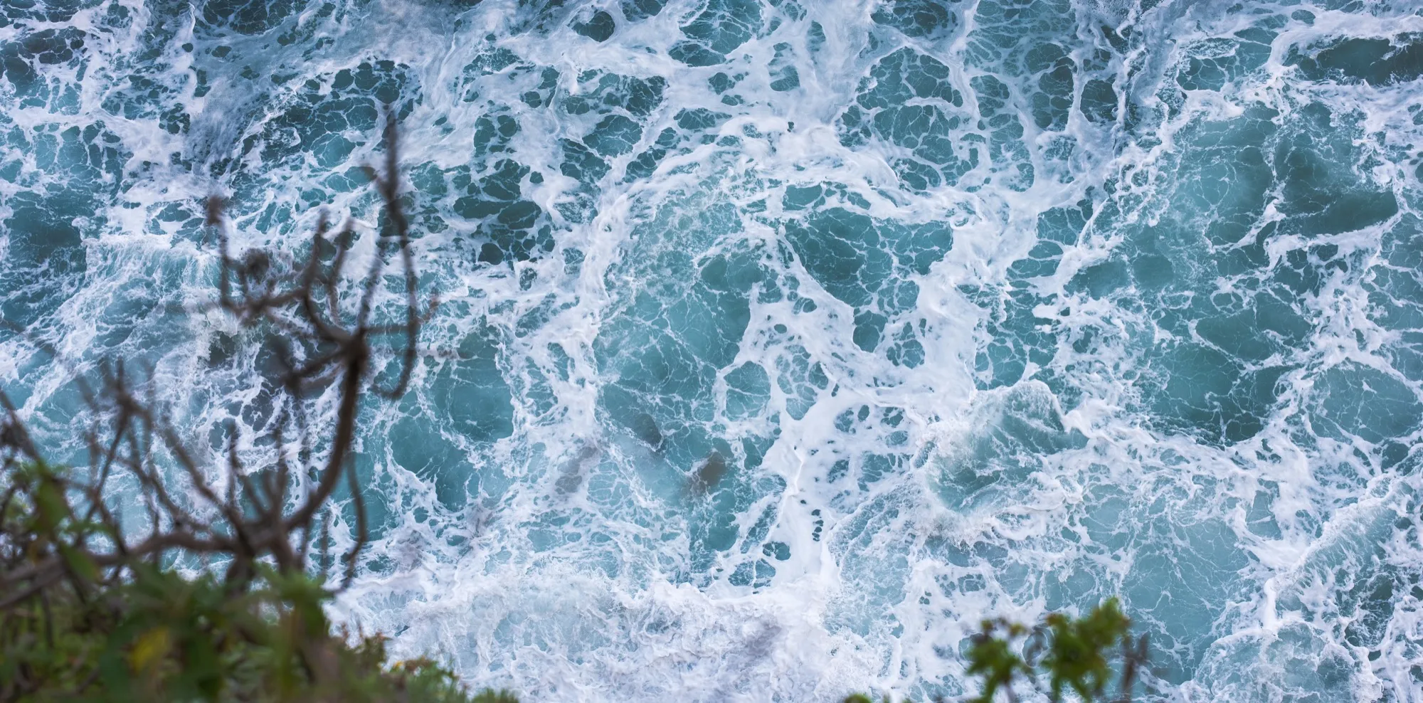 Aerial photograph — Madeira — Earthly