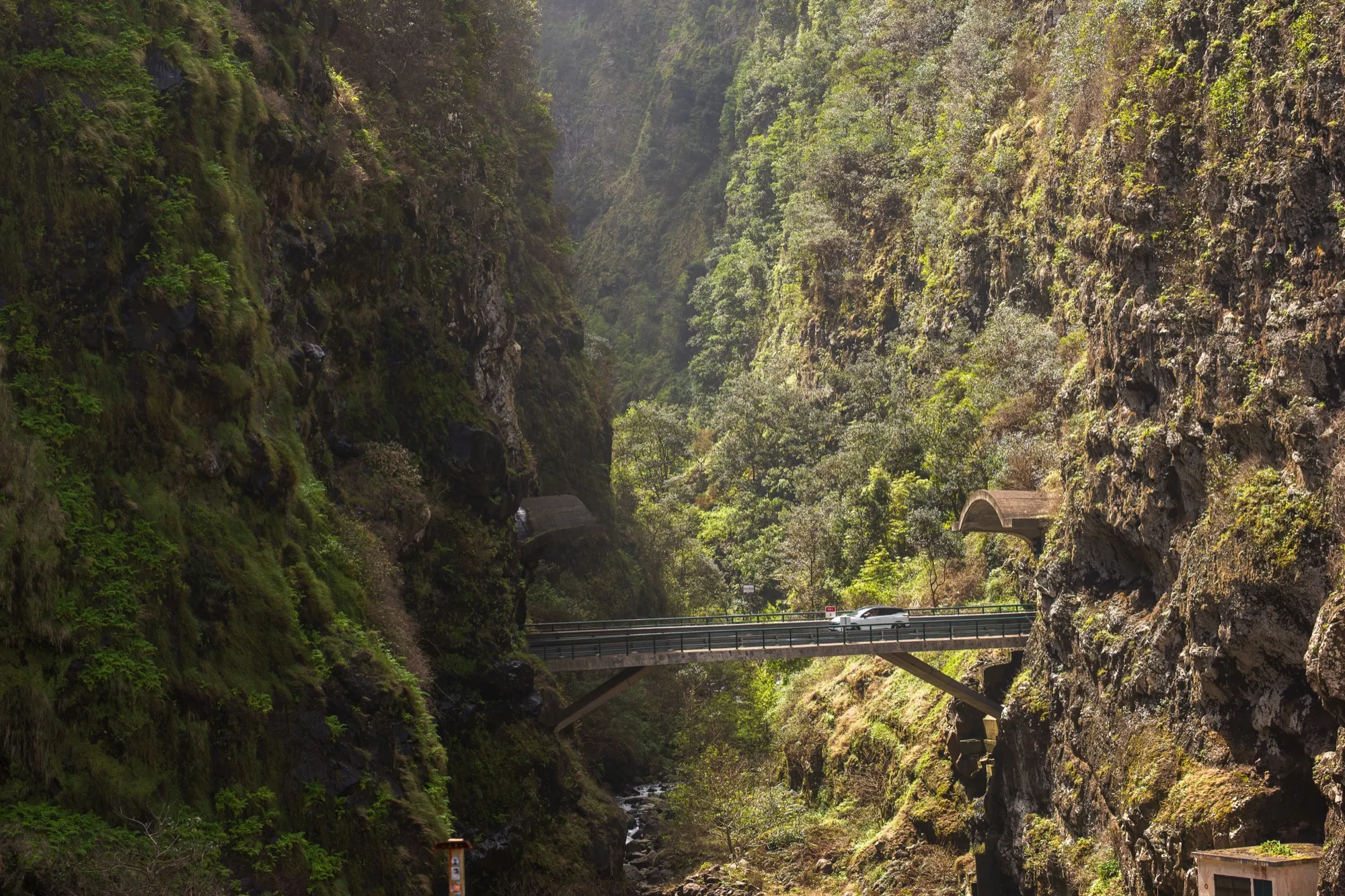 Aerial photograph — Madeira — Earthly