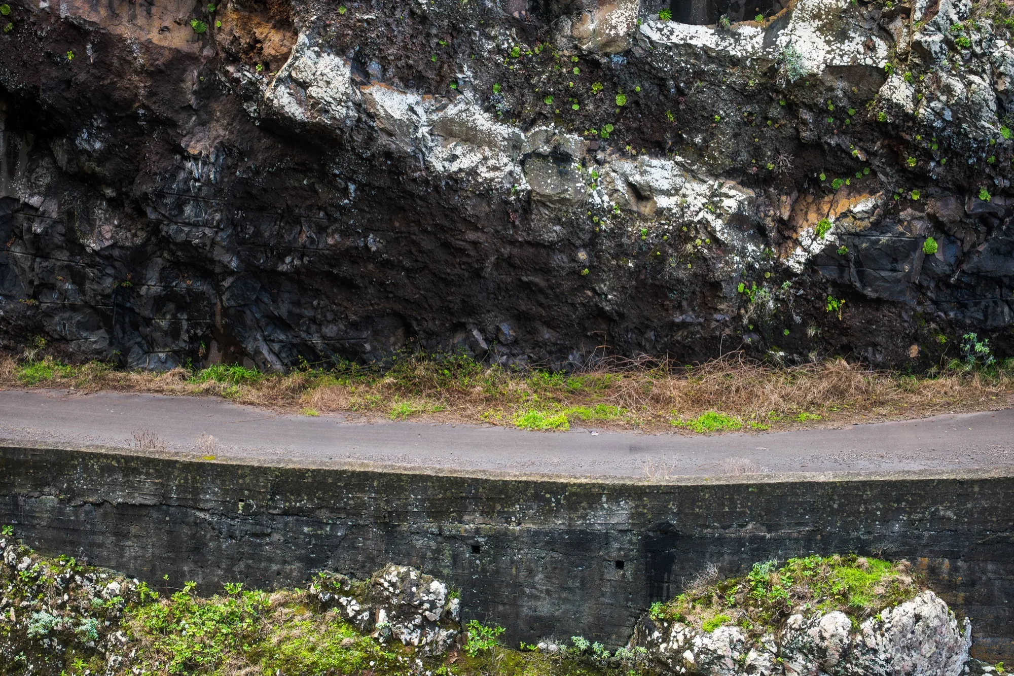Aerial photograph — Madeira — Earthly