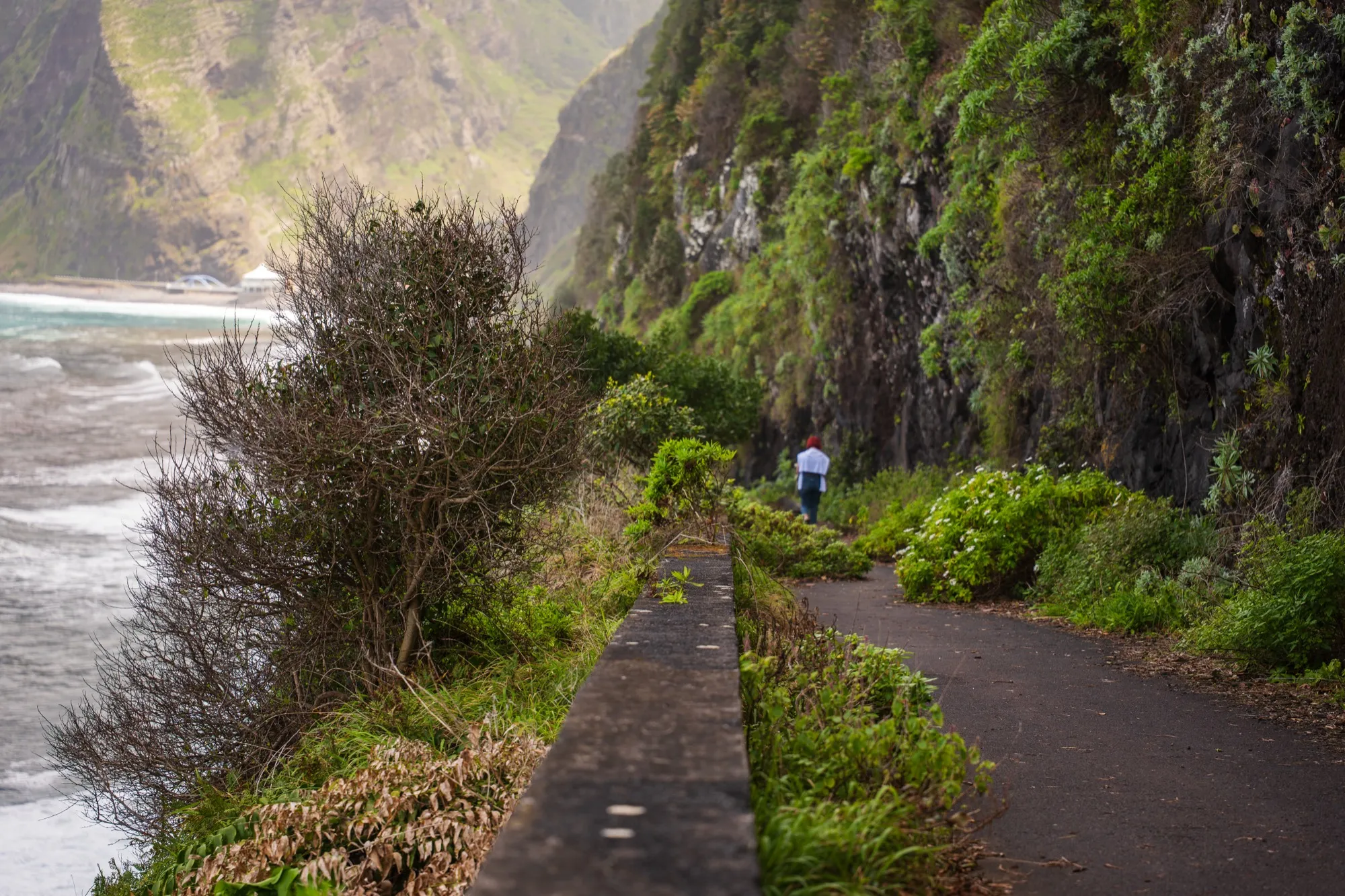 Aerial photograph — Madeira — Earthly