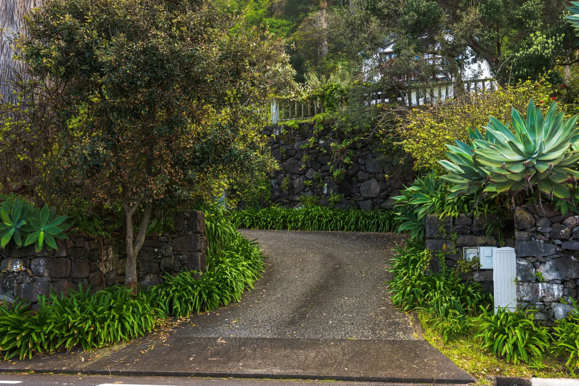 Aerial photograph — Madeira — Earthly