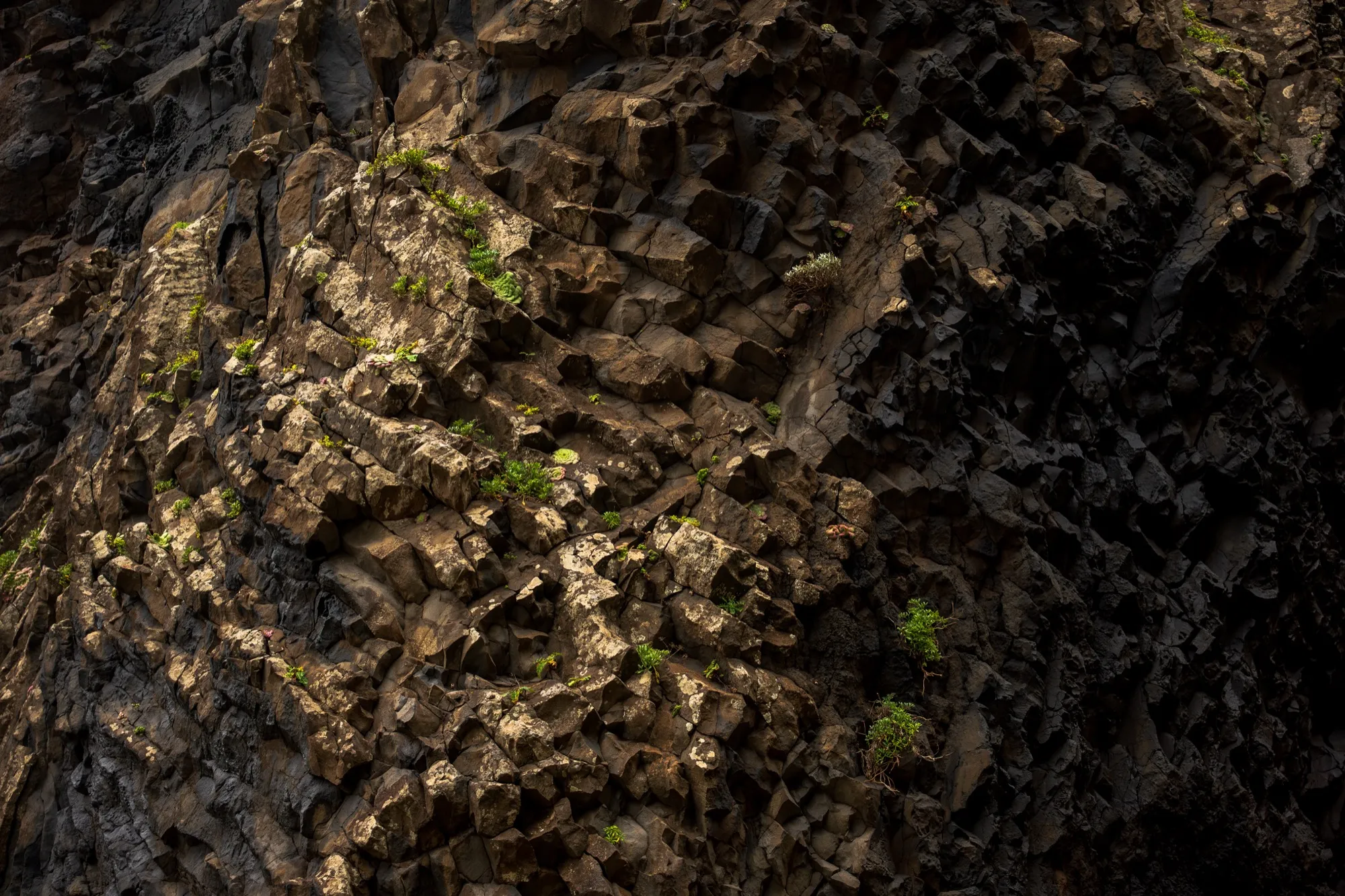 Aerial photograph — Madeira — Earthly