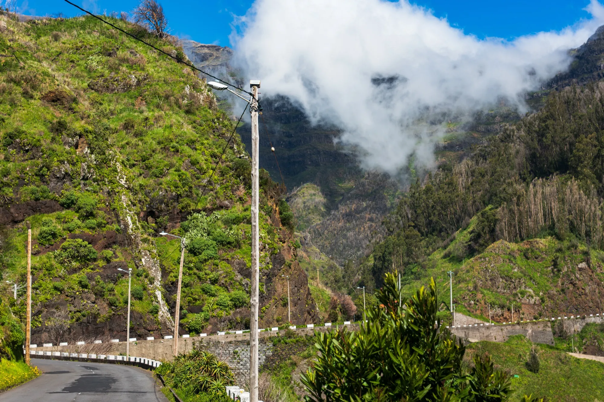 Aerial photograph — Madeira — Earthly