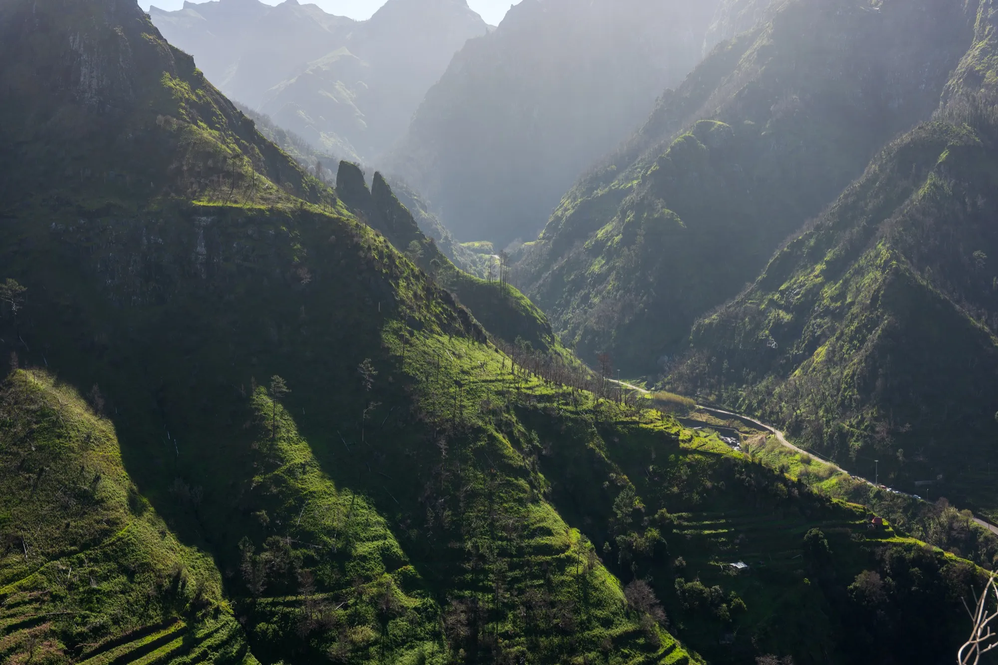 Aerial photograph — Madeira — Earthly