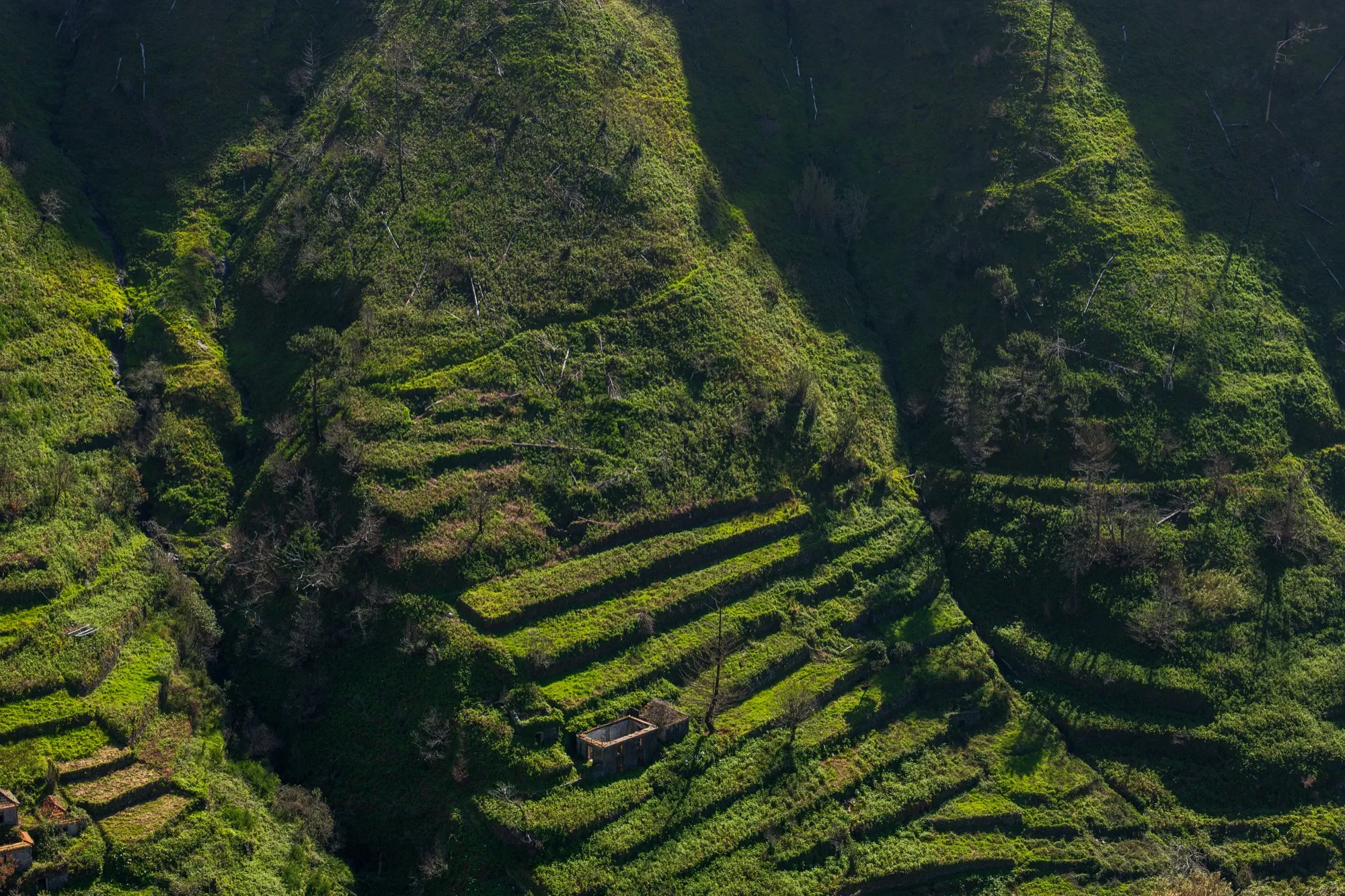 Aerial photograph — Madeira — Earthly