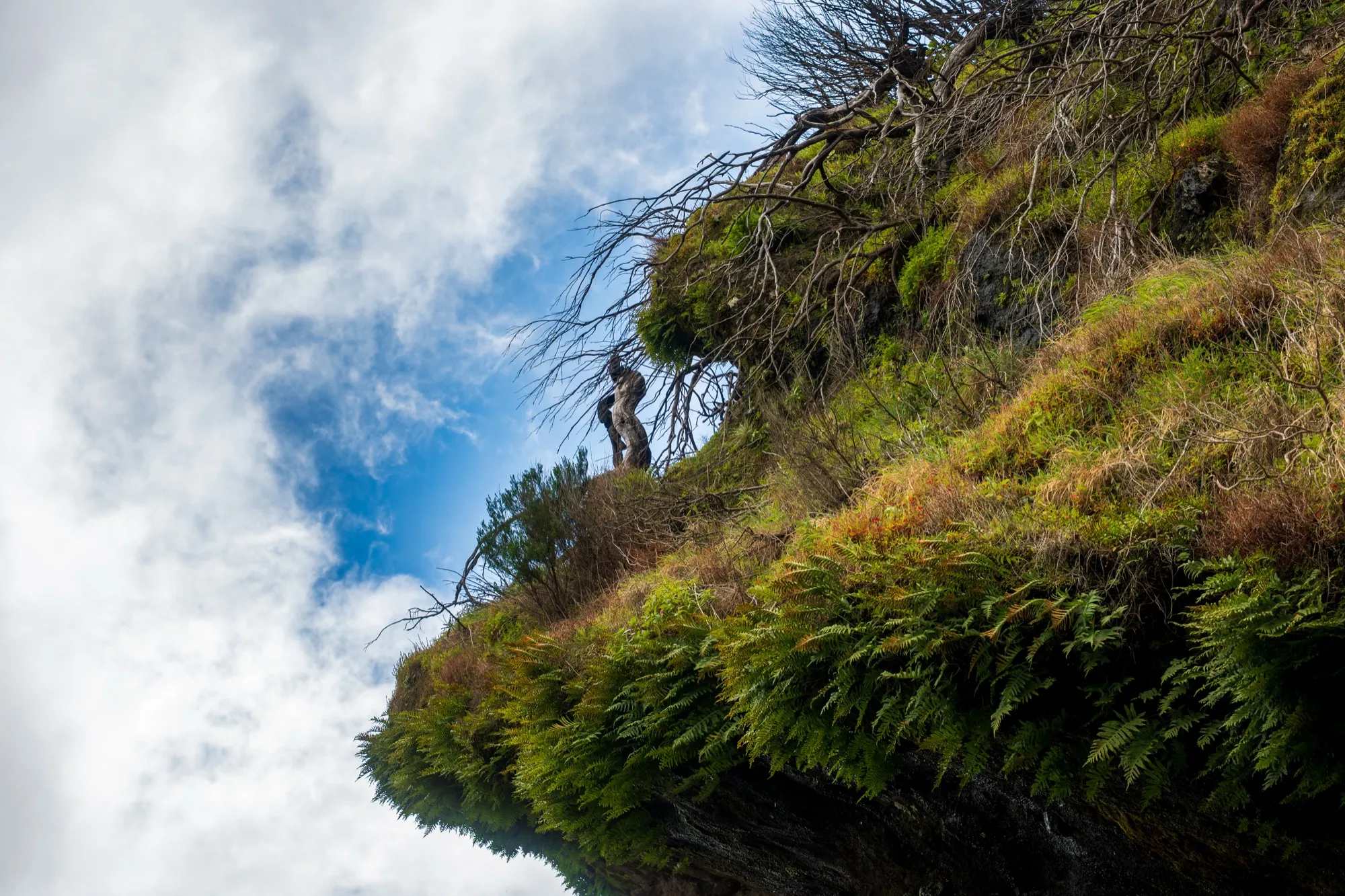Aerial photograph — Madeira — Earthly