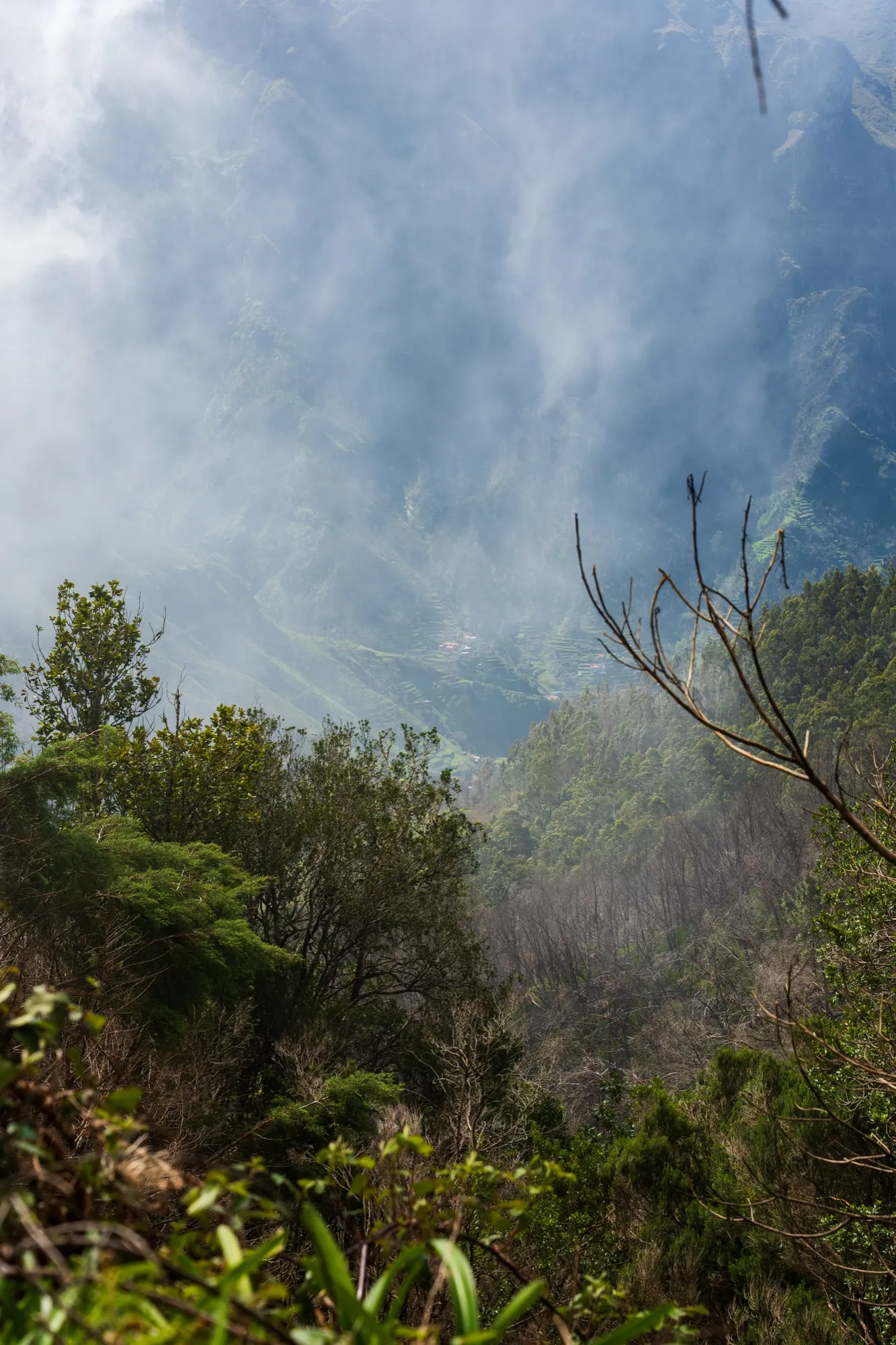 Aerial photograph — Madeira — Earthly