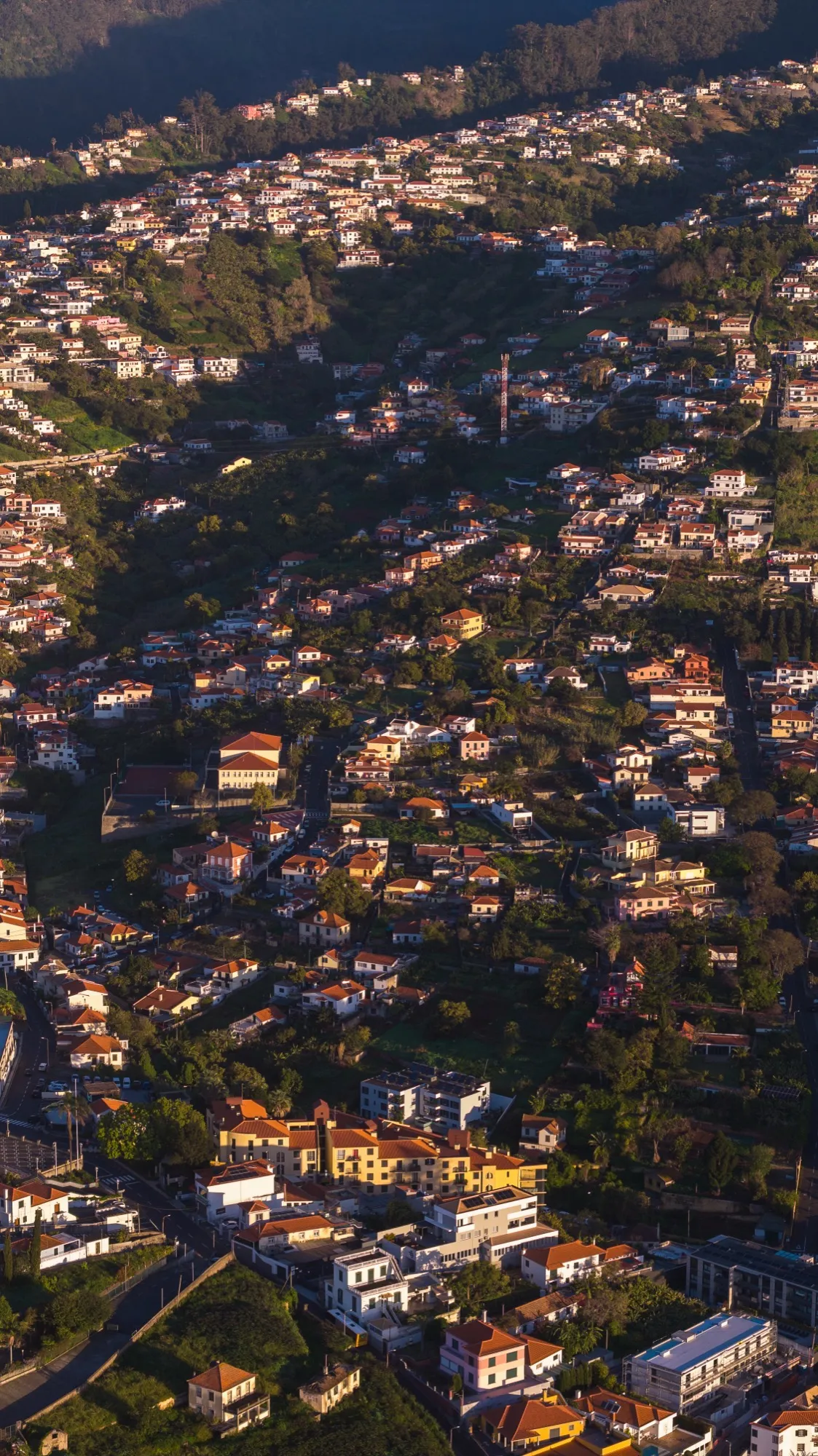 Aerial photograph — Madeira — Earthly