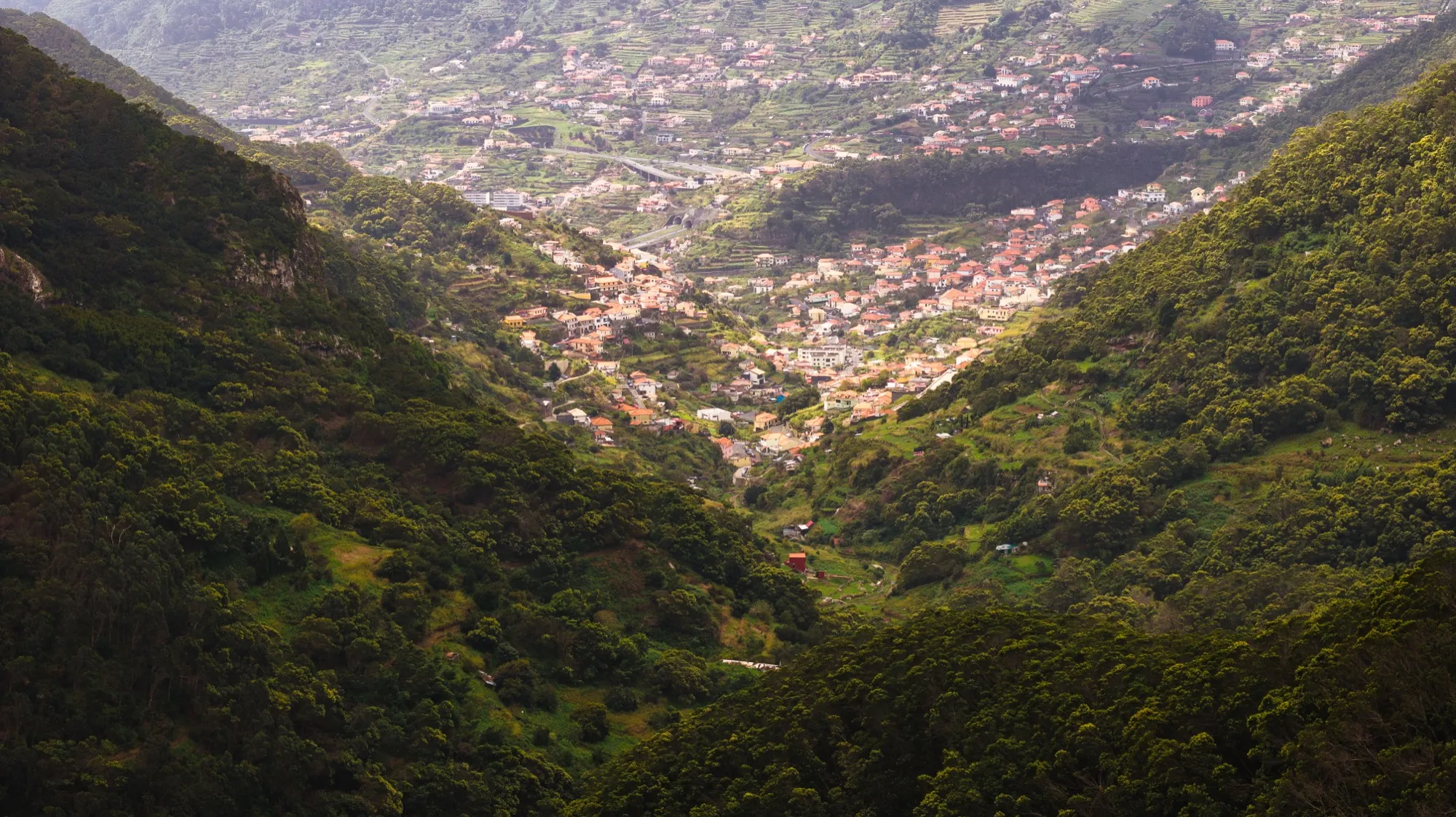 Aerial photograph — Madeira — Earthly