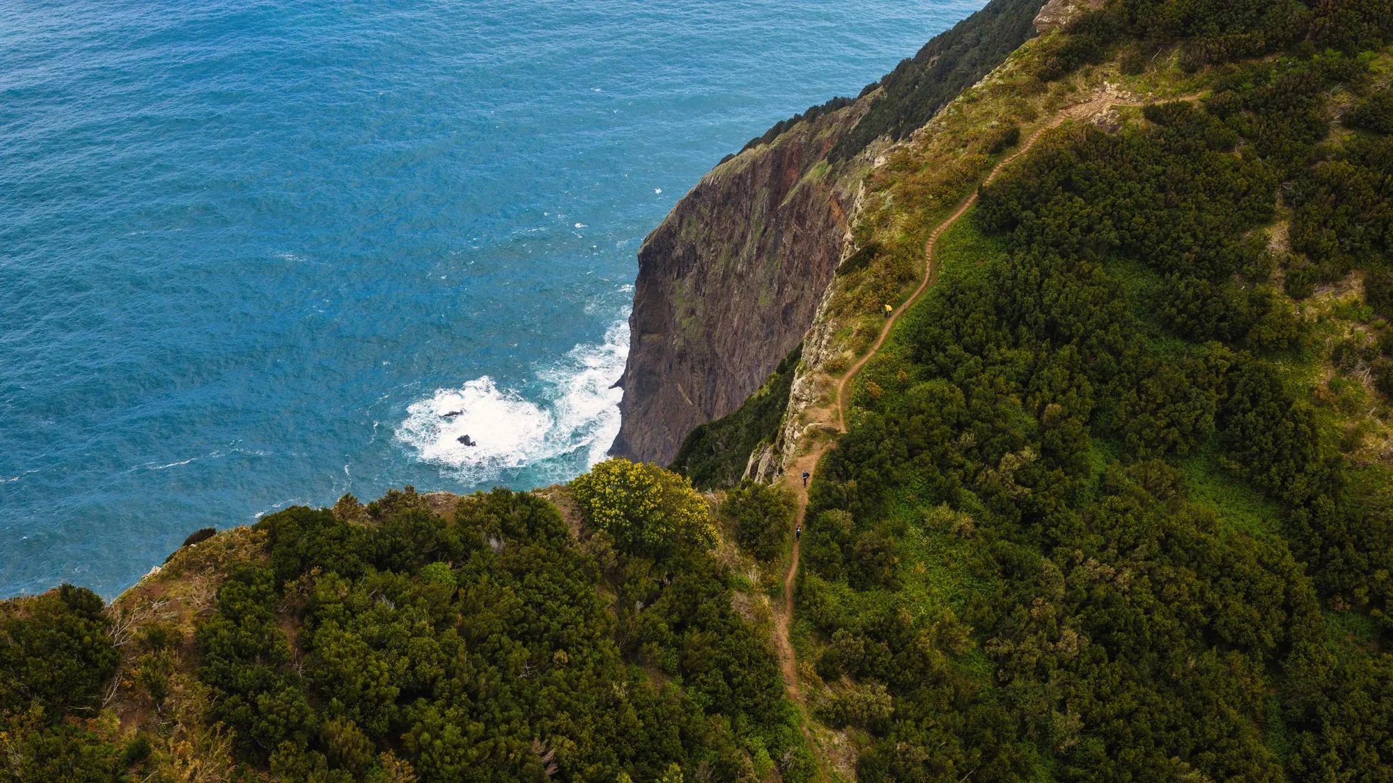 Aerial photograph — Madeira — Earthly