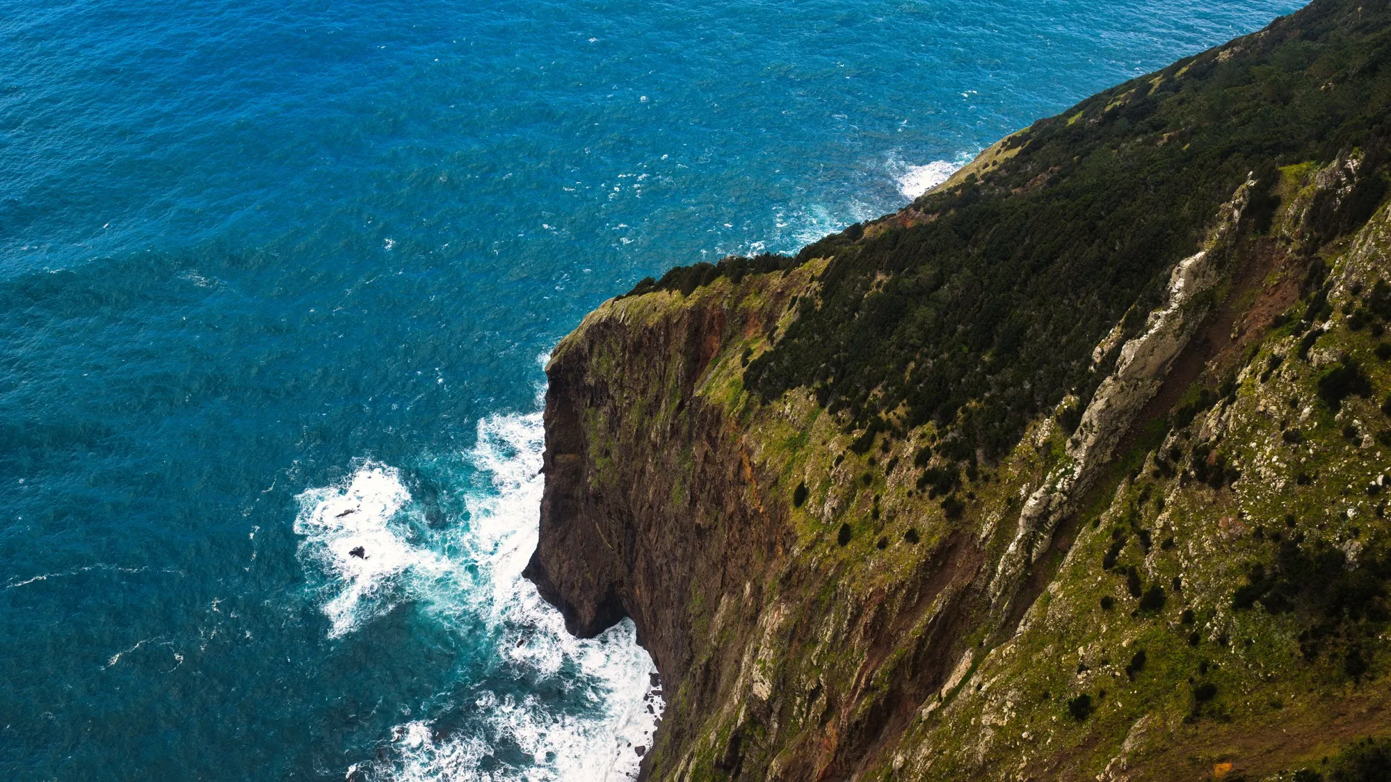 Aerial photograph — Madeira — Earthly