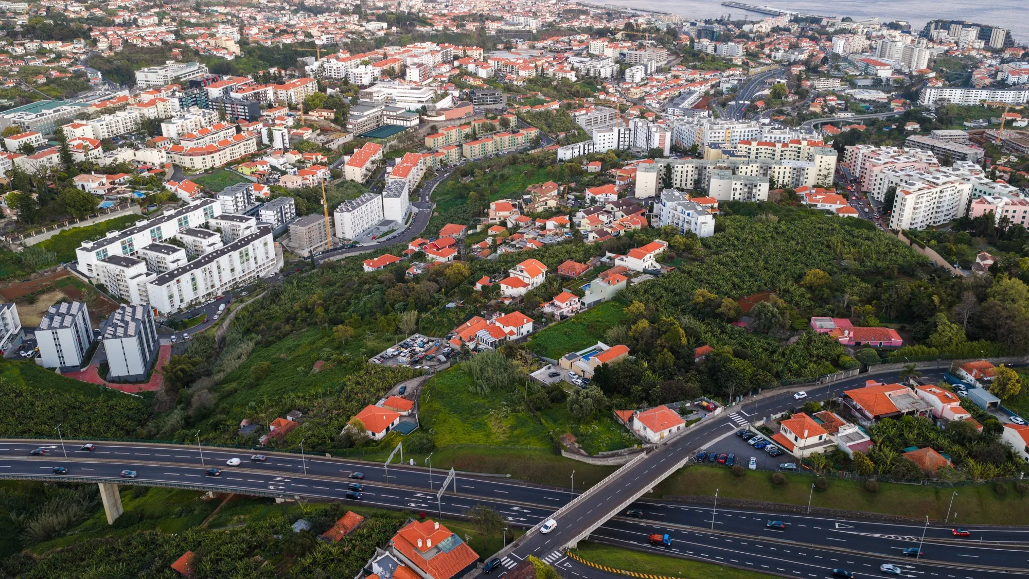 Aerial photograph — Madeira — Earthly