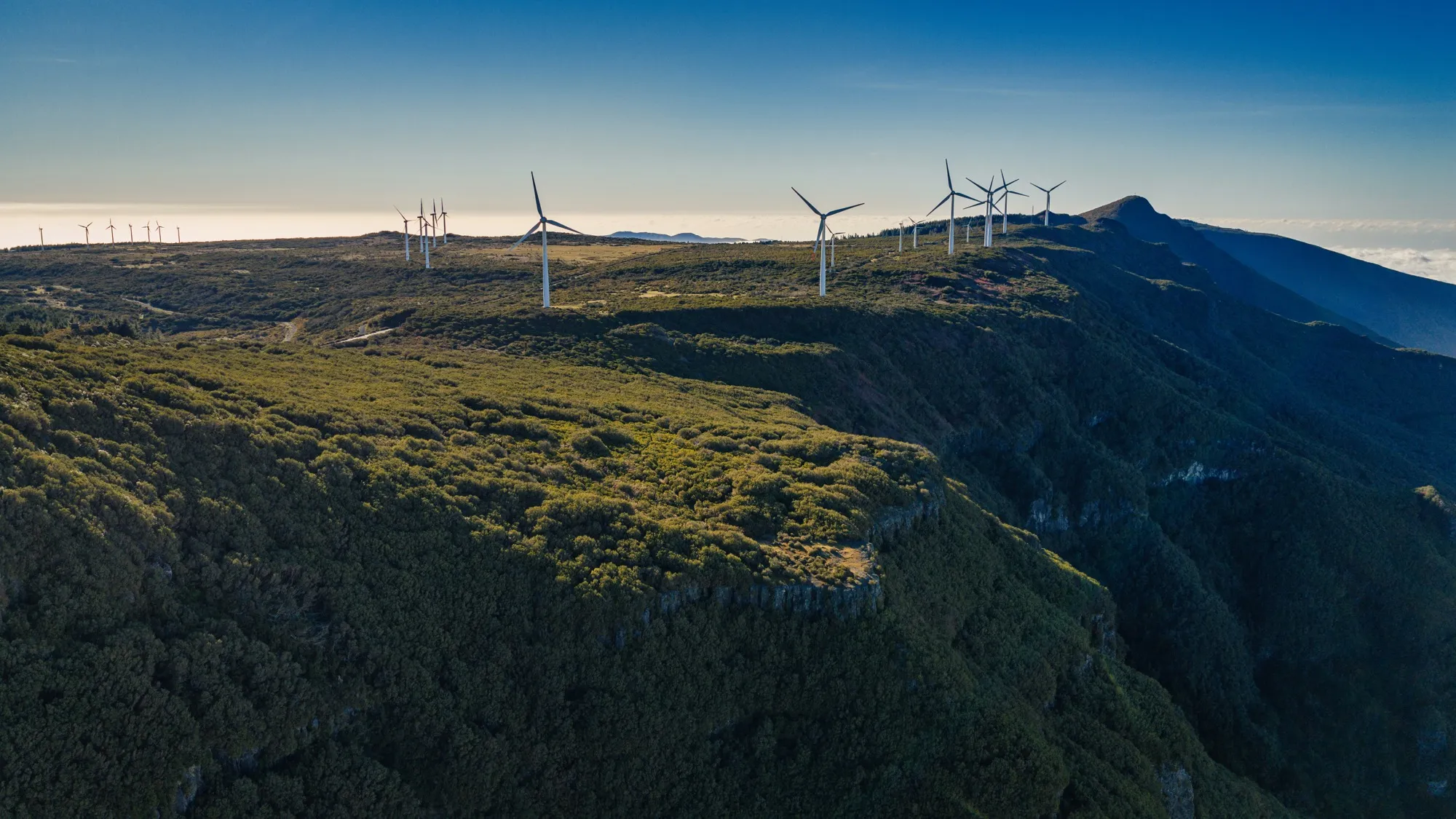 Aerial photograph — Madeira — Earthly