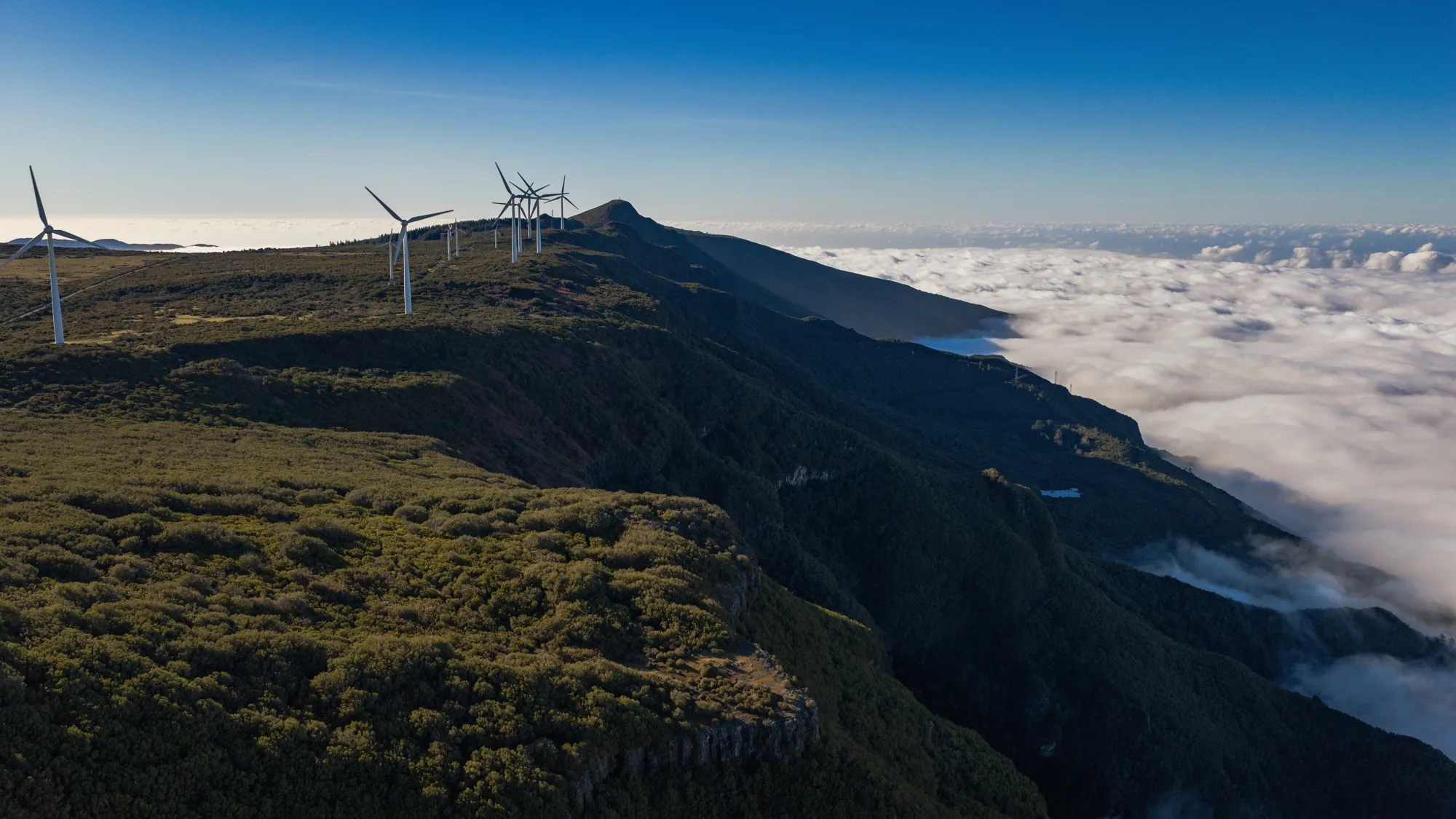 Aerial photograph — Madeira — Earthly