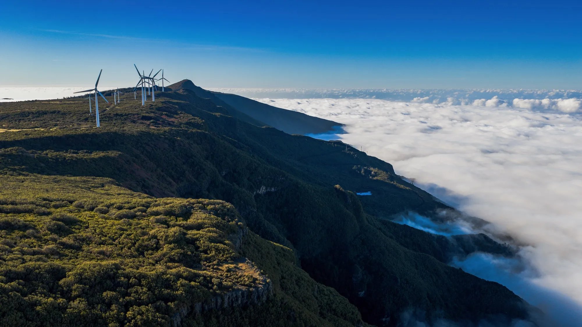 Aerial photograph — Madeira — Earthly