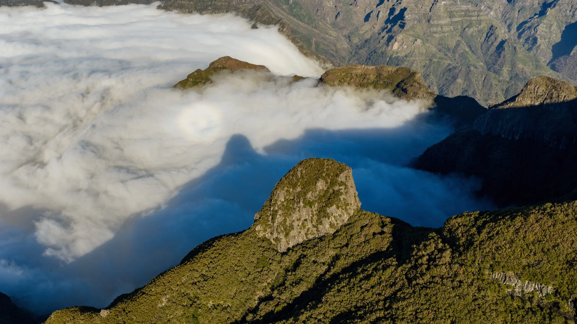 Aerial photograph — Madeira — Earthly