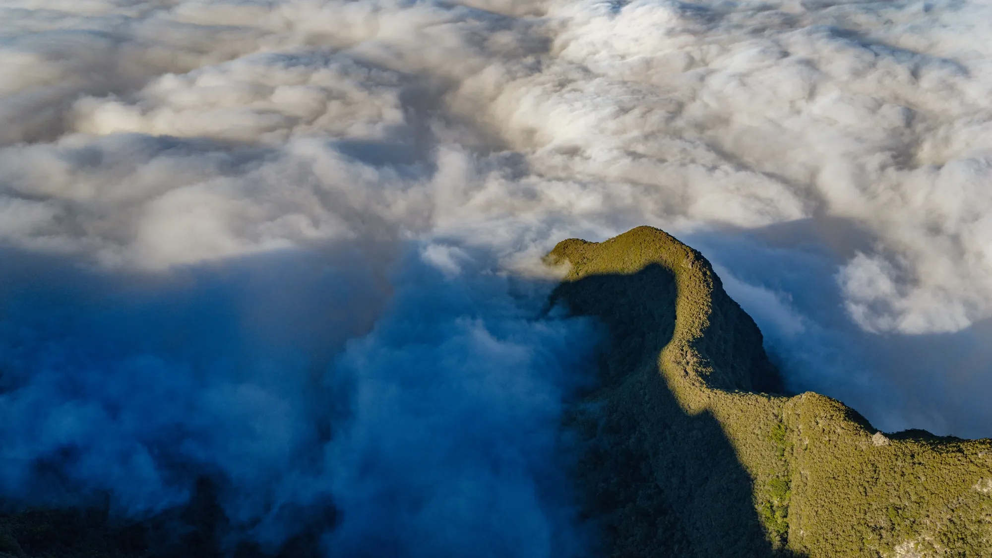 Aerial photograph — Madeira — Earthly