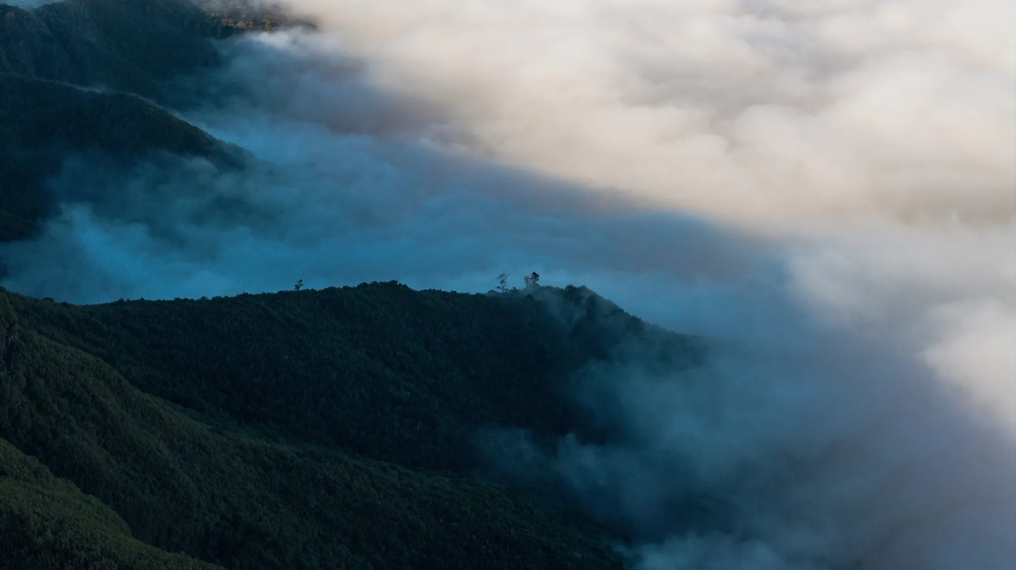 Aerial photograph — Madeira — Earthly