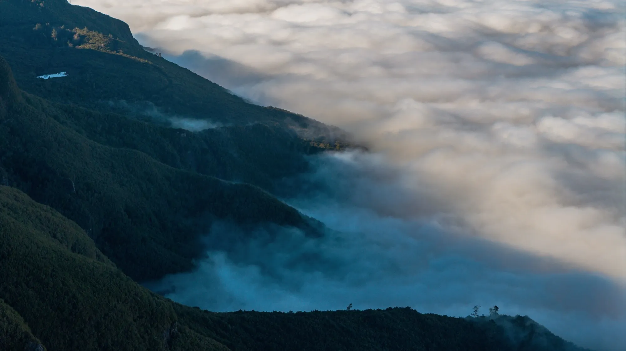 Aerial photograph — Madeira — Earthly