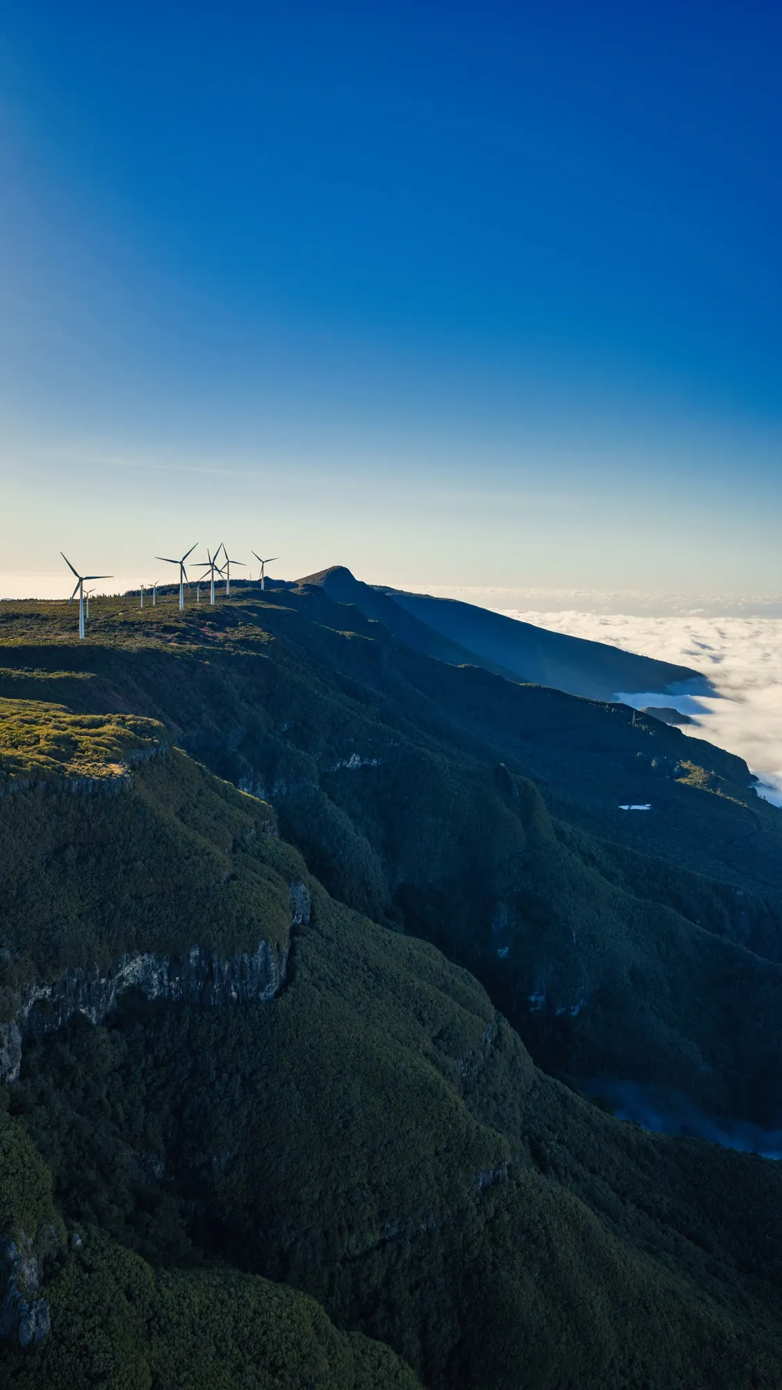 Aerial photograph — Madeira — Earthly