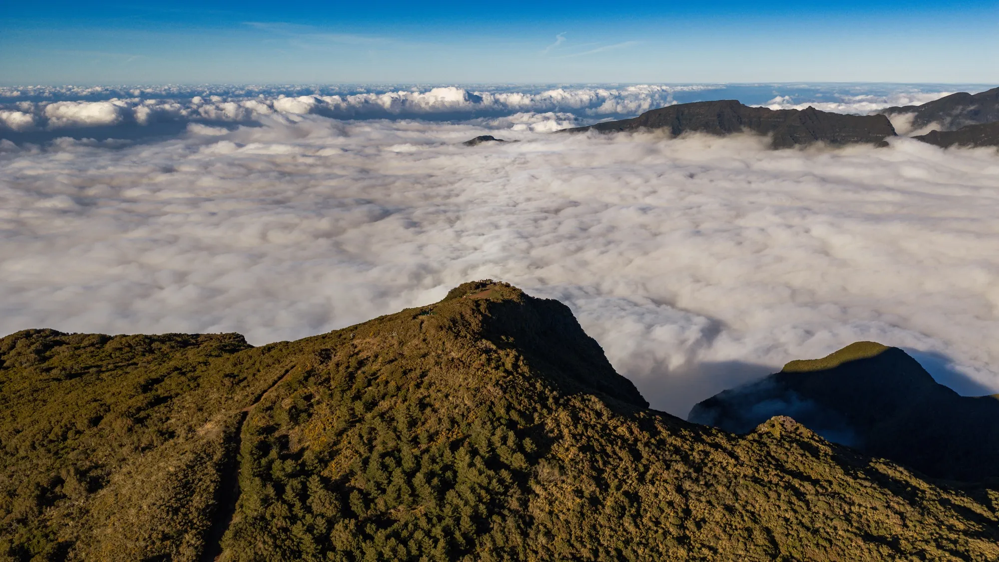 Aerial photograph — Madeira — Earthly