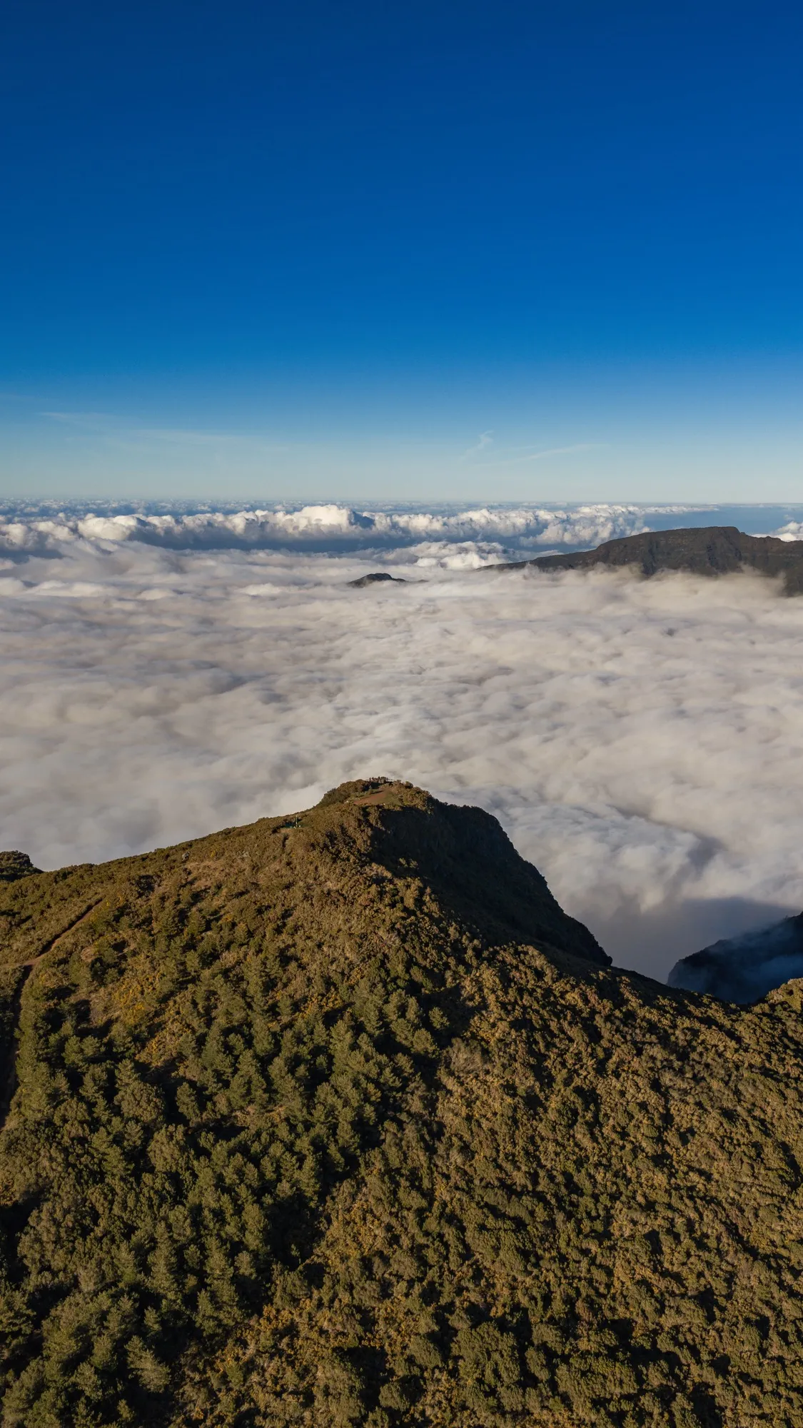 Aerial photograph — Madeira — Earthly